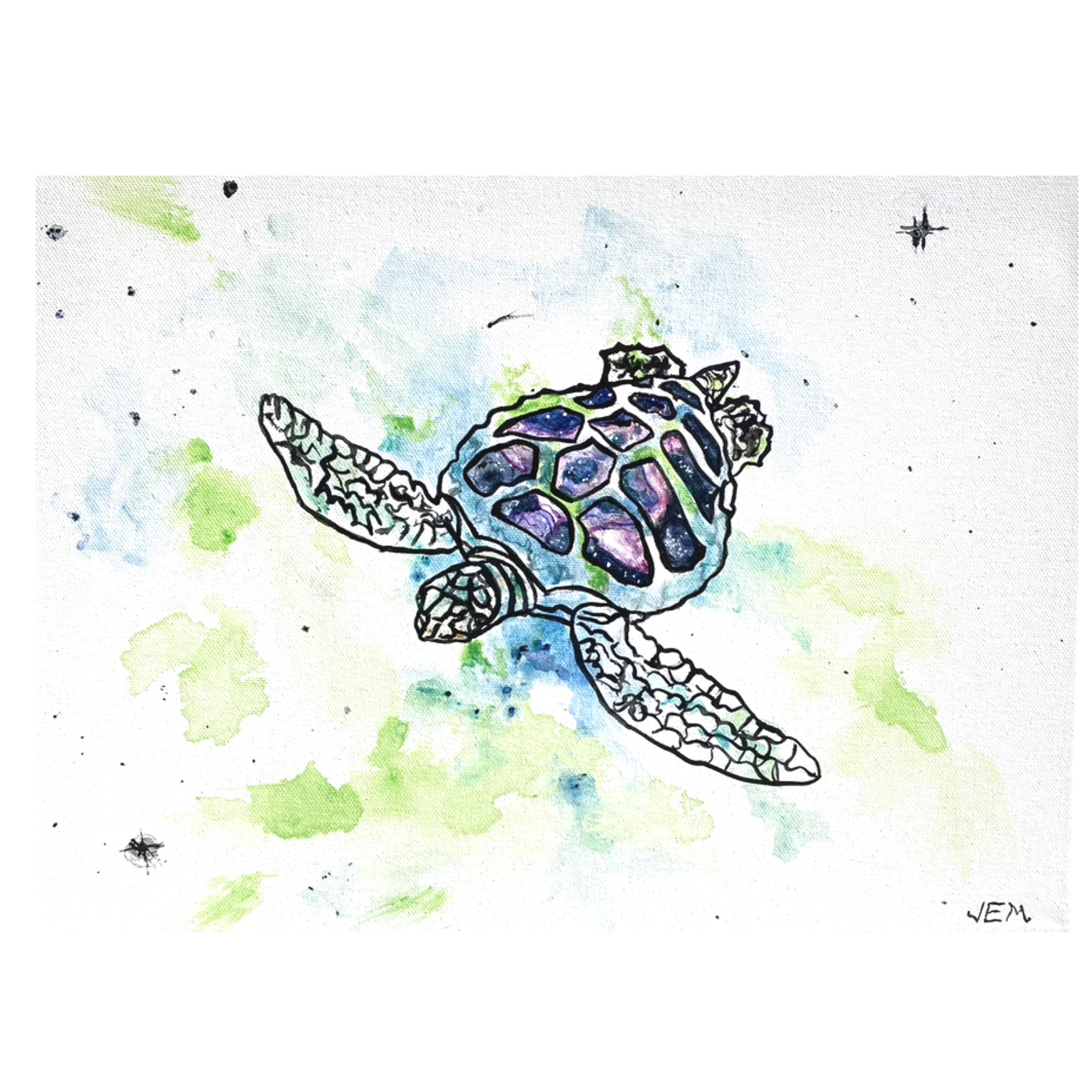 Turtle in an Inverted Space