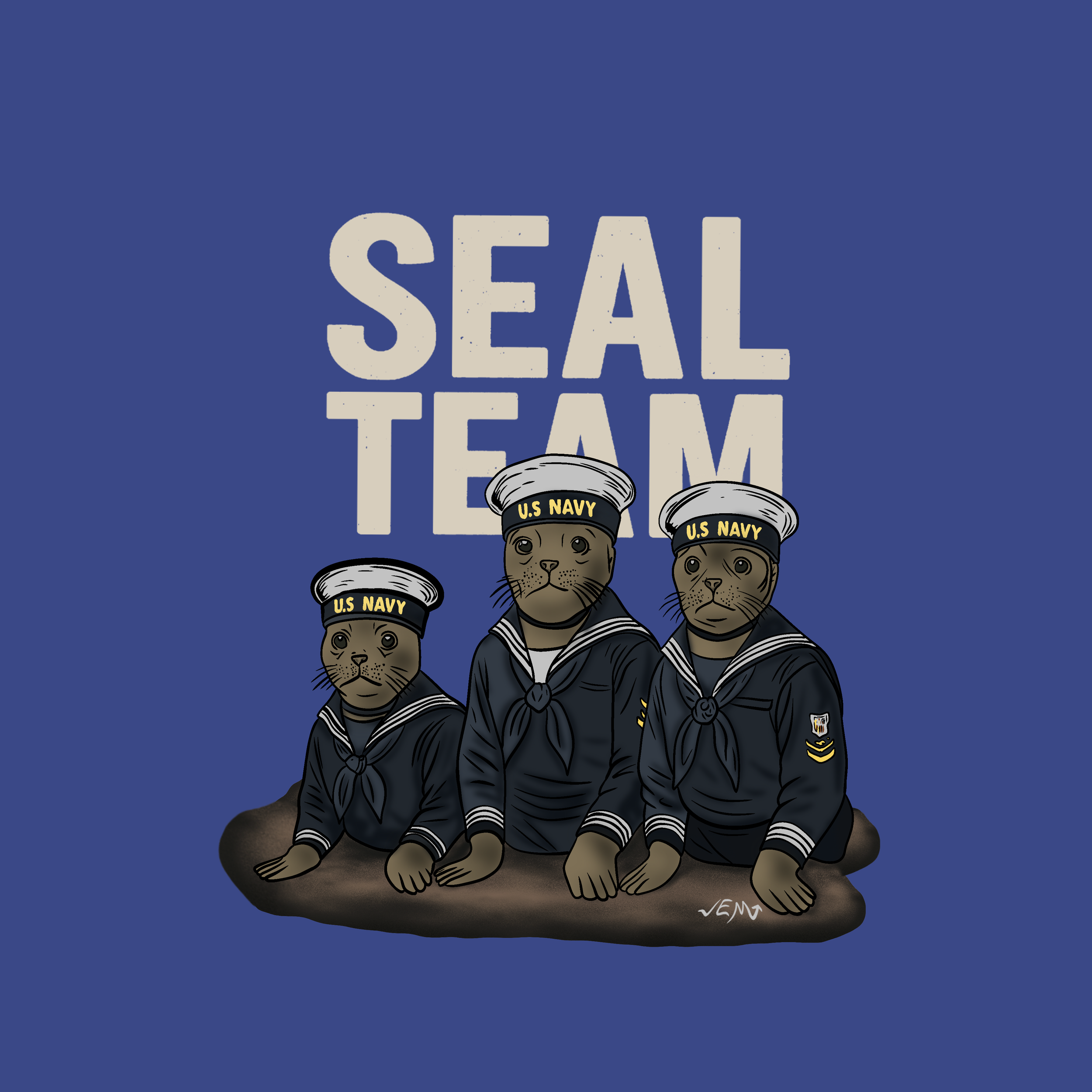 seal_team.png