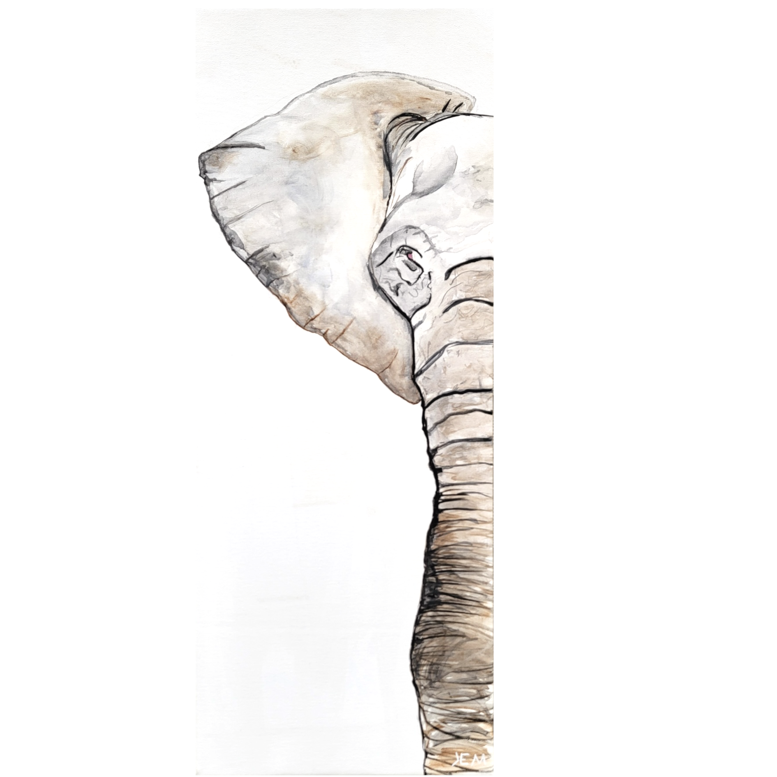 Elephant Female