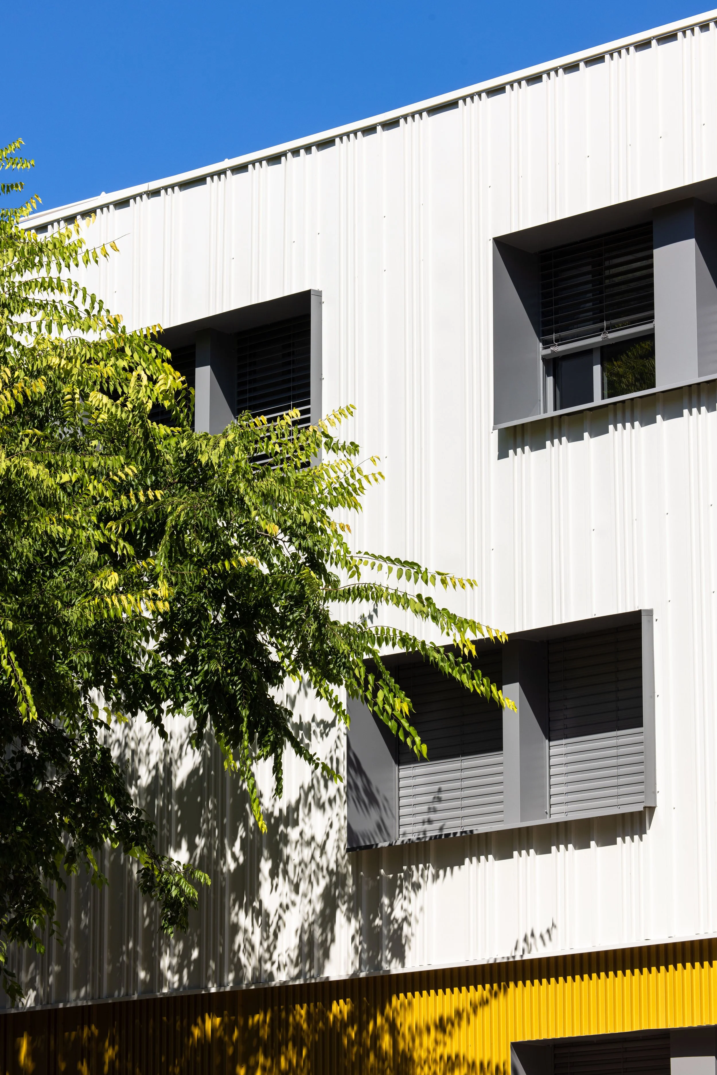 05092025_IUT Montpellier_Valentin Sambardy Architecte_007.jpg