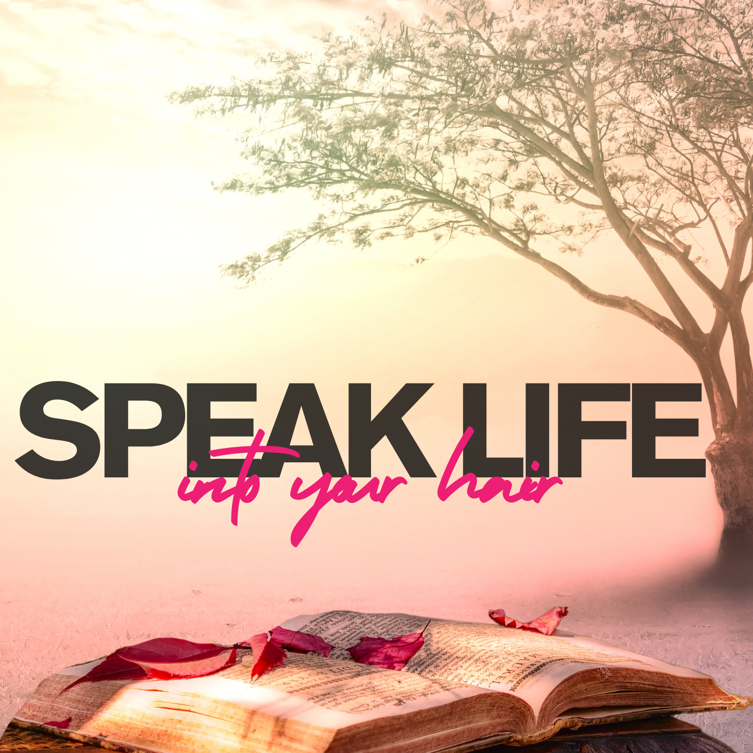 TRANSFORM THE HEALTH OF YOUR HAIR BY SPEAKING THE WORD OF GOD 