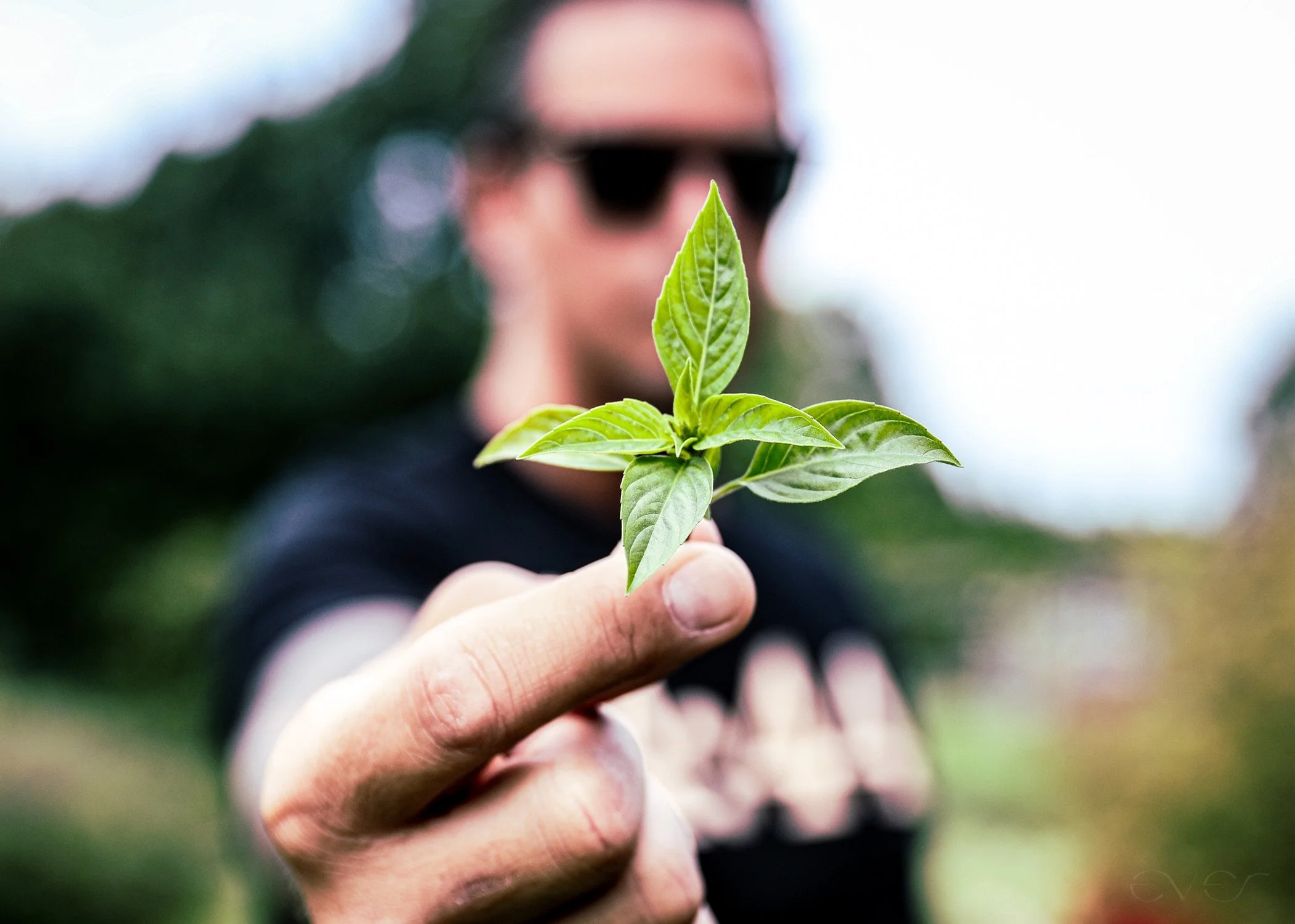 Chef Curtis Duffy in Ever Restaurant's garden.