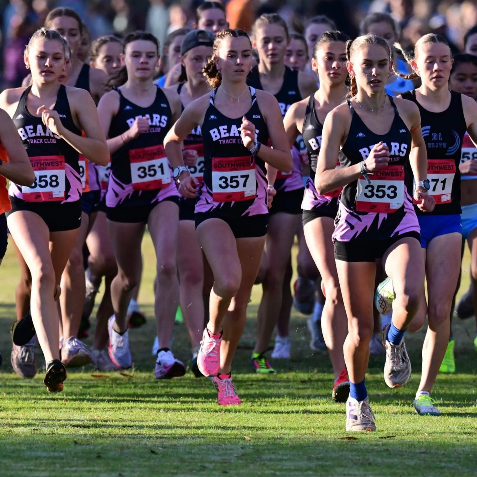 Bears Track Club runners at a cross-country race.