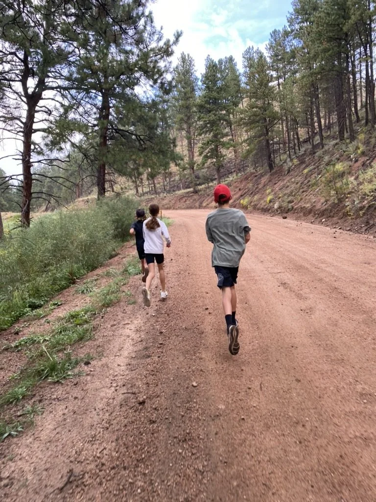 Summer Cubs Development Academy - Sibling Rate (Ages 7-11)