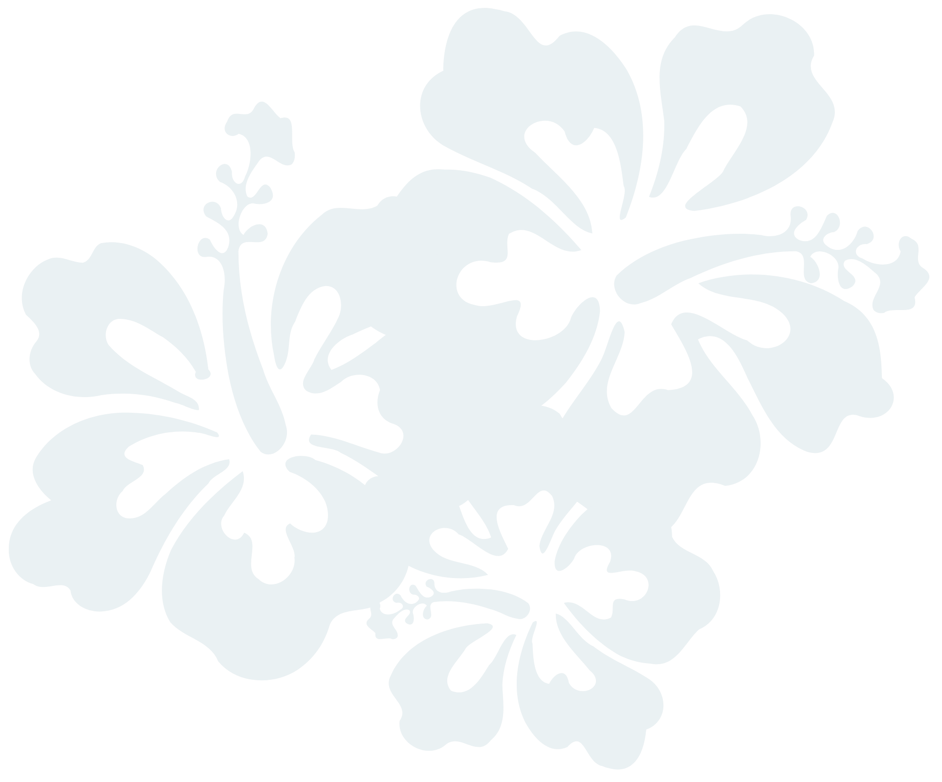 Decorative Hibiscus flower