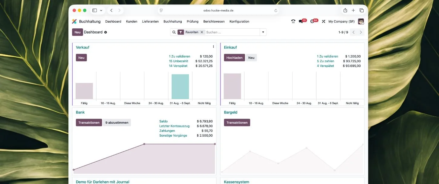 Screenshot eines Finanz- oder Buchhaltungsdashboards mit Diagrammen, Zahlen und Menüs auf einem Computerbildschirm vor einer grünen Blätter-Hintergrund.