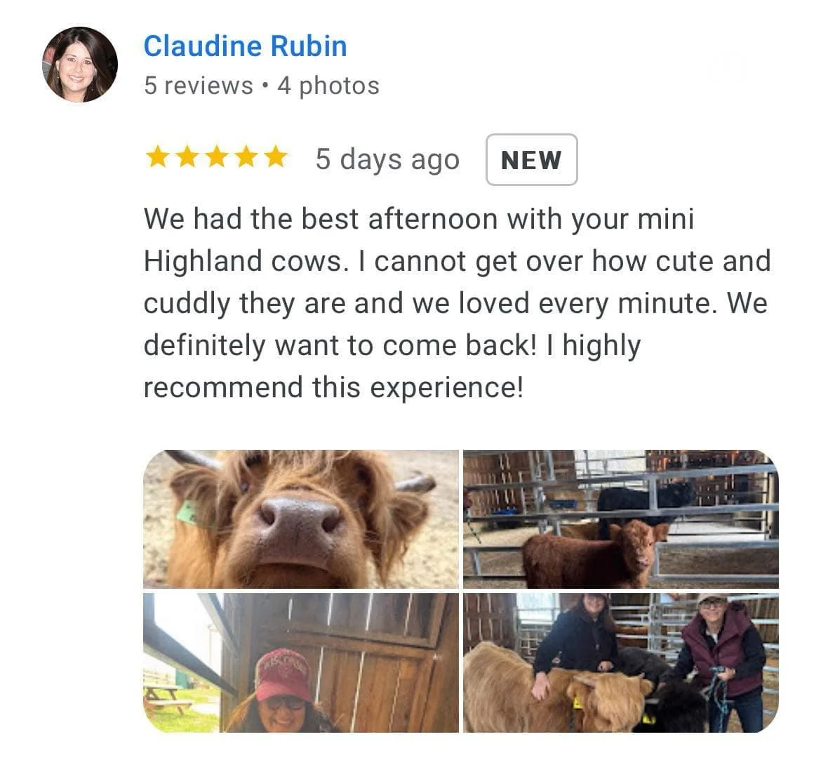 5ebdb303-b2f8-45c4-9f21-b668e72f35d8.jfif