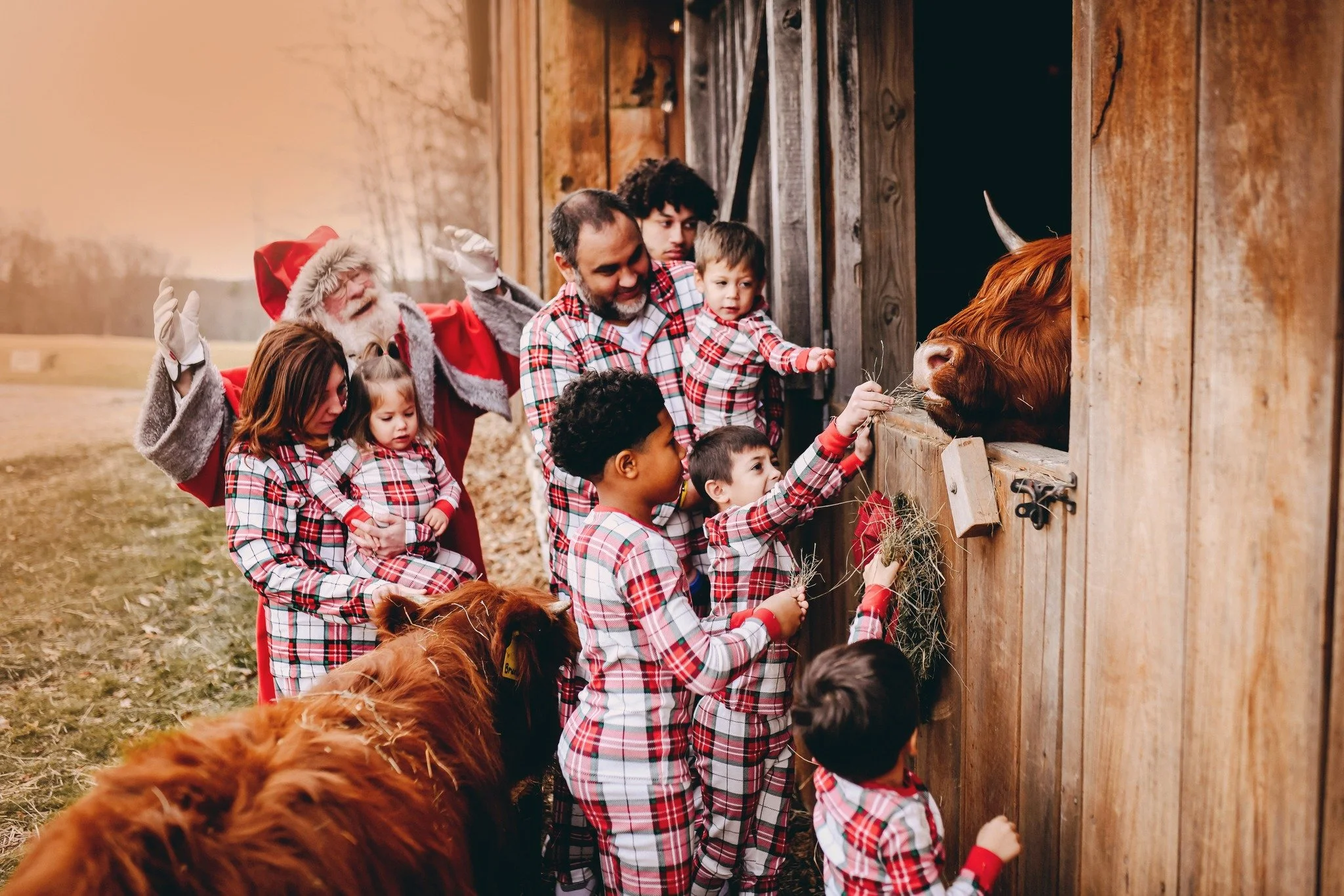 liz hough santa photos at black rock farm