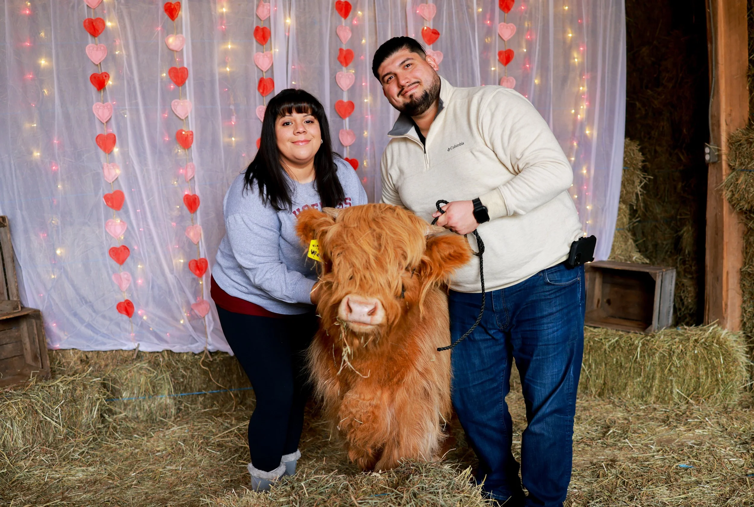 — SOLD OUT — Will "MOO" be my Valentine?