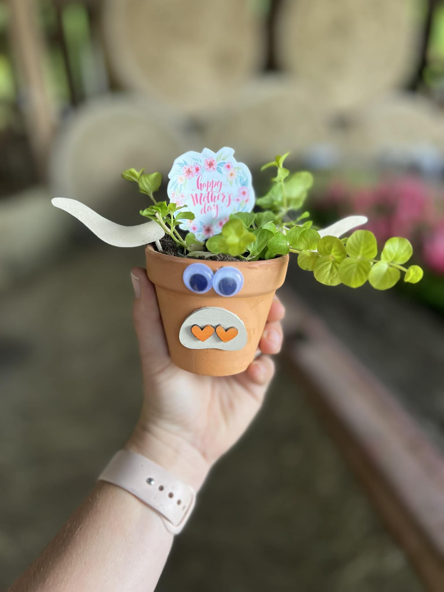 Happy "MOO-ther's" Day Pop Up Event