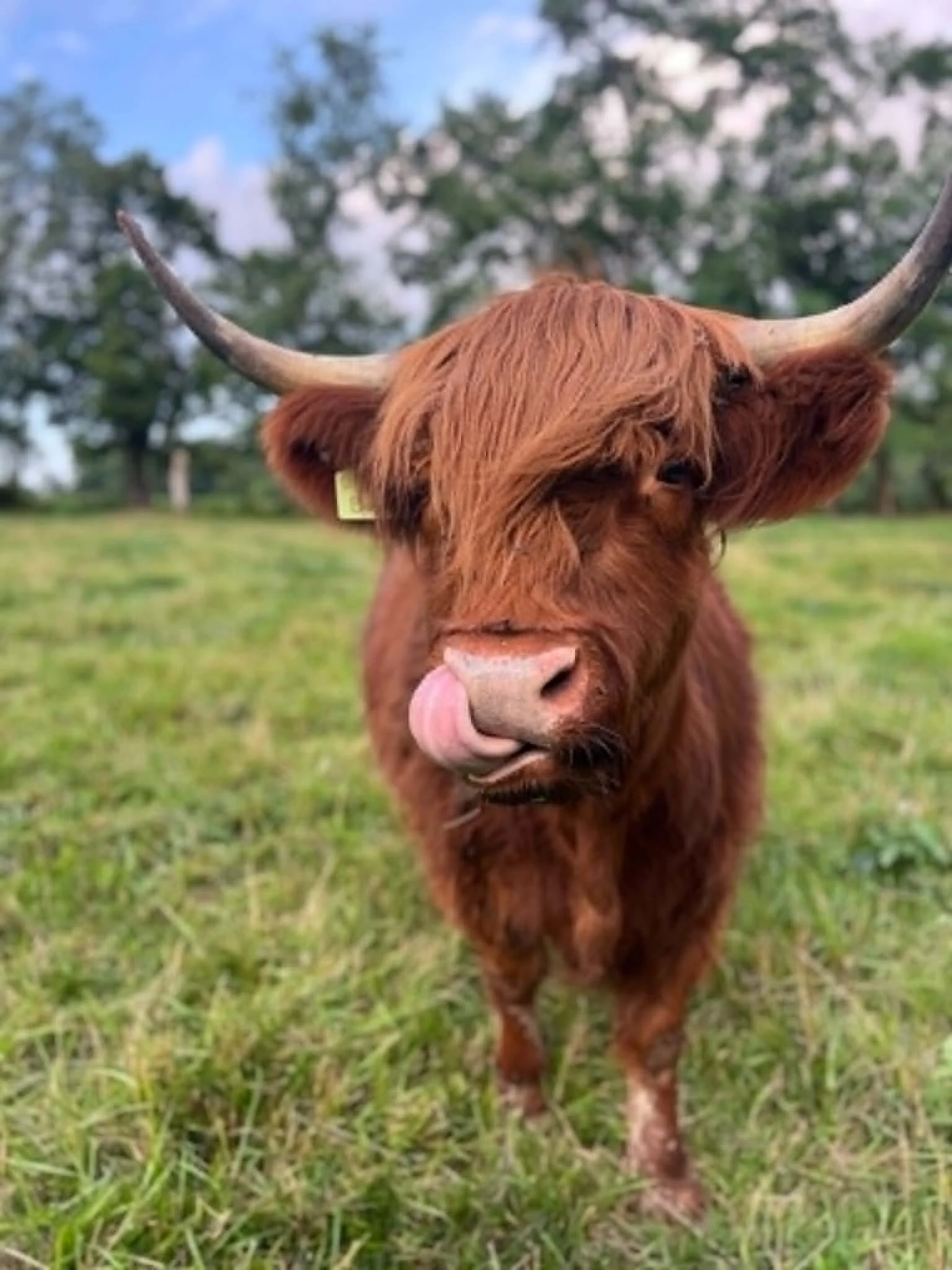 Yoga | MOO and Move