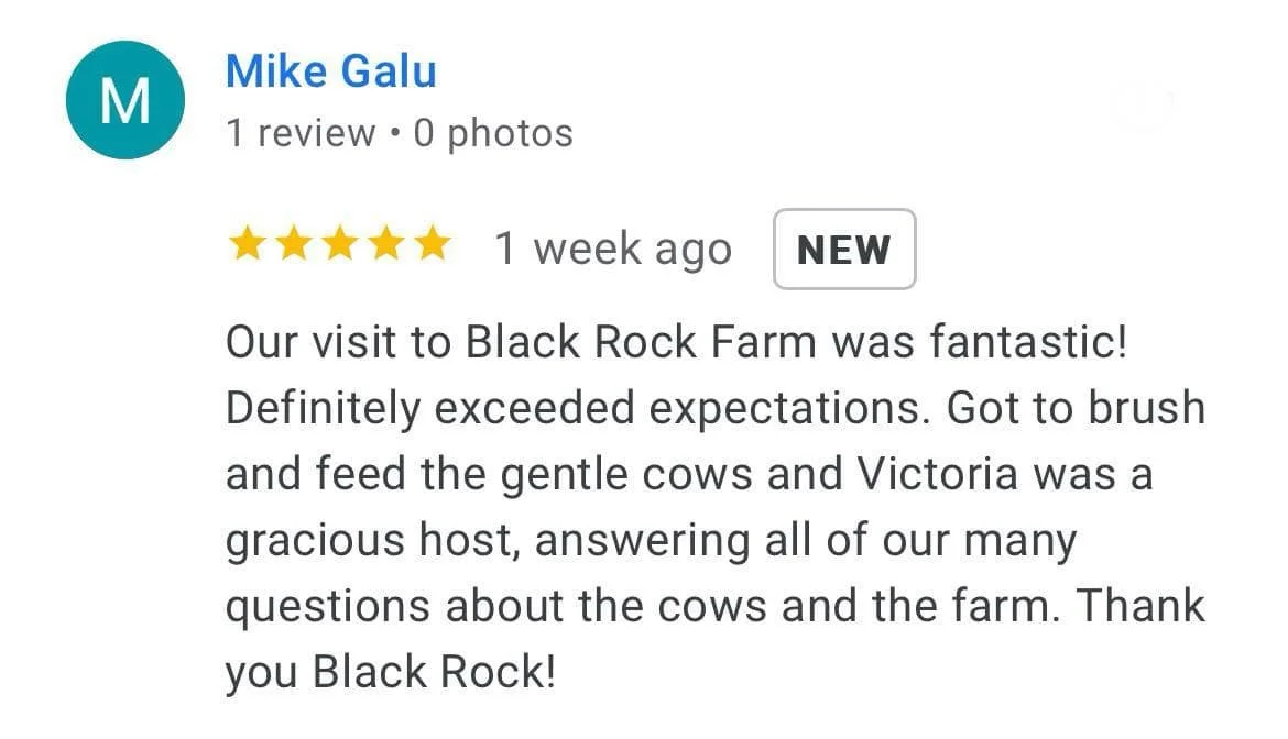 3c411017-791f-4601-adf1-c63c37541cd2.jfif