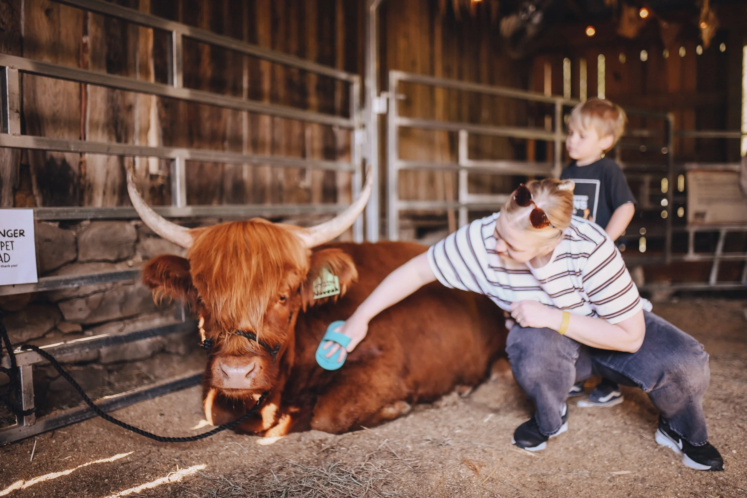 Large Group Visits at Black Rock Farm