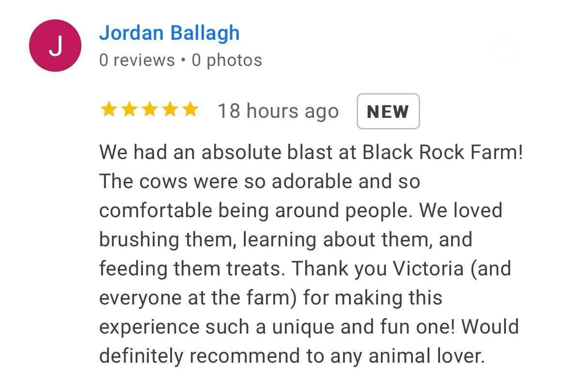 e1c3aaf3-5361-4b03-a90d-6841e077dd07.jfif