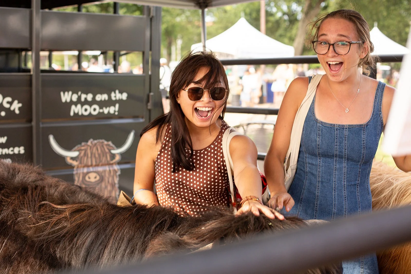 Mobile Event Trailer with Black Rock Farm