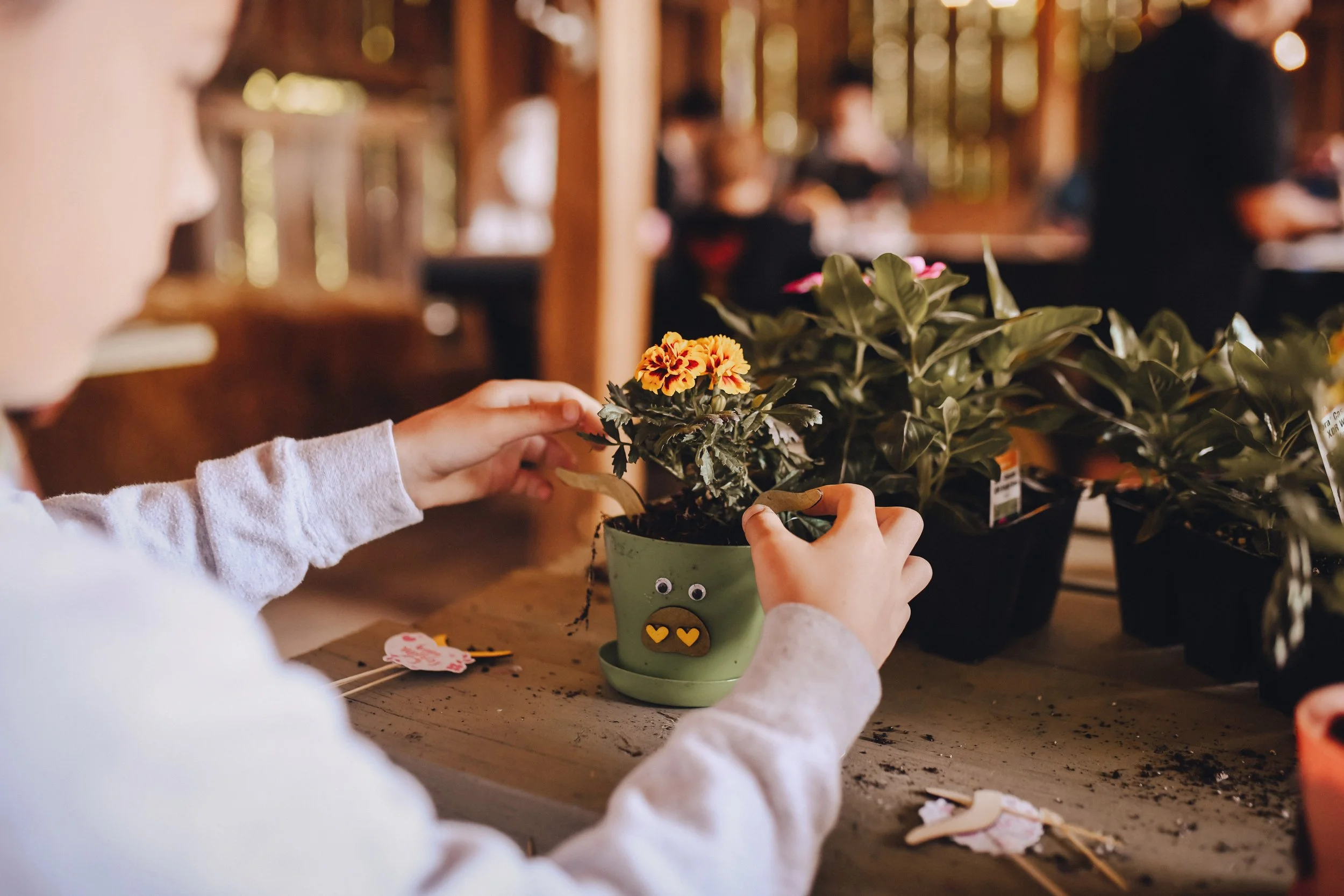 Monthly events at Black Rock Farm
