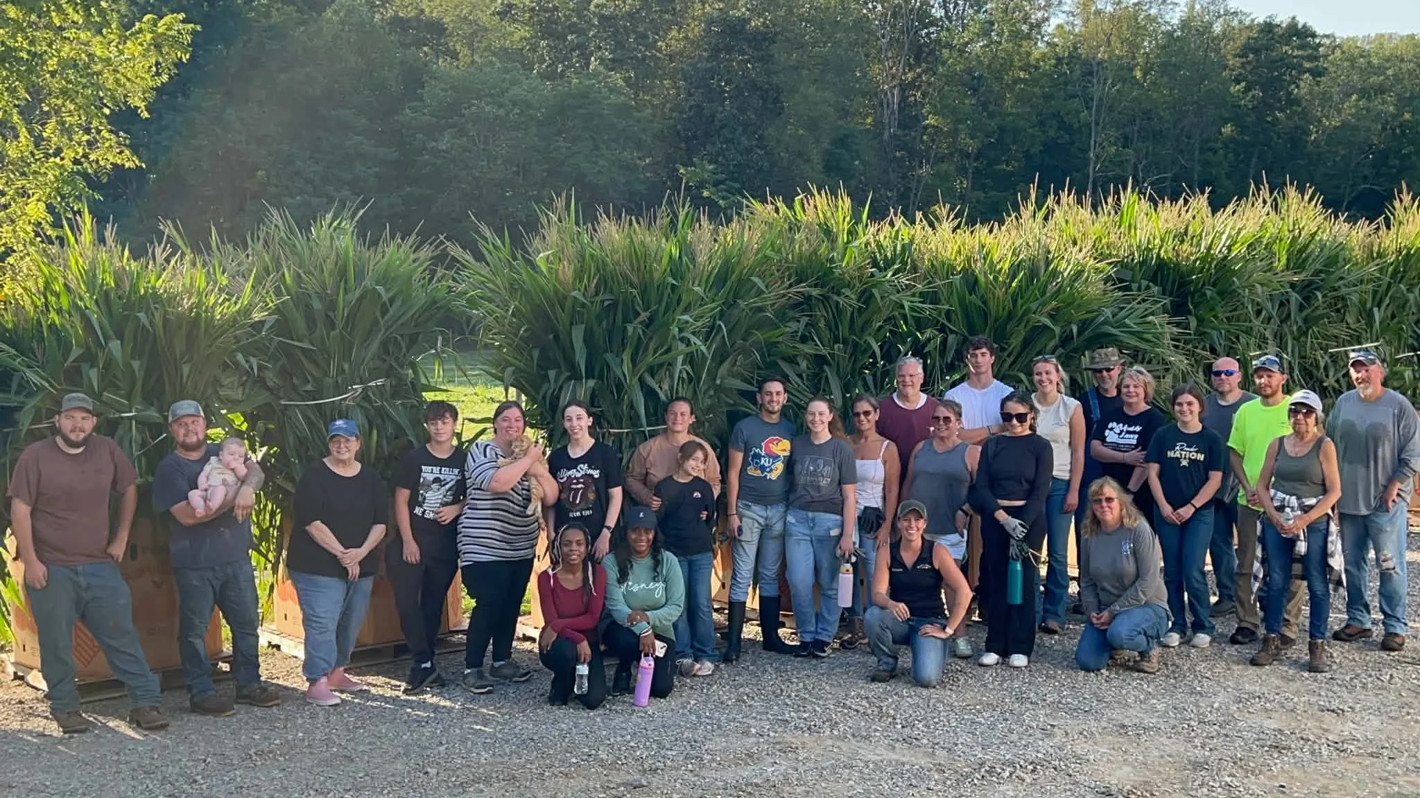 corn stalk volunteer day