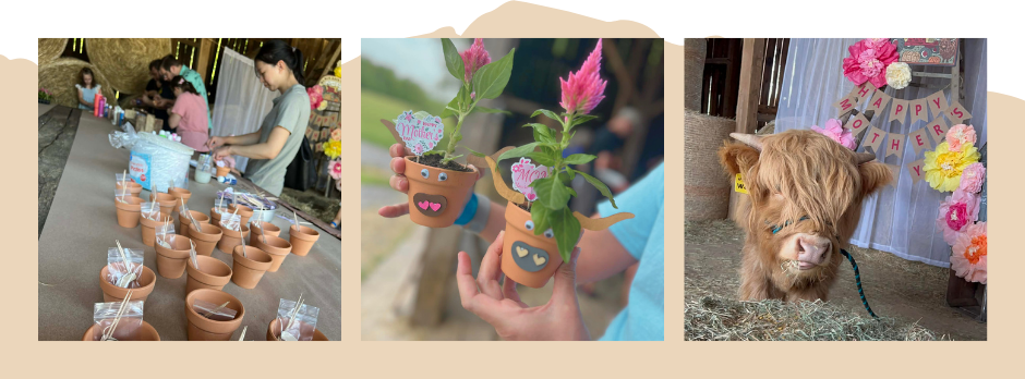 Happy MOO-ther's Day Event Photos