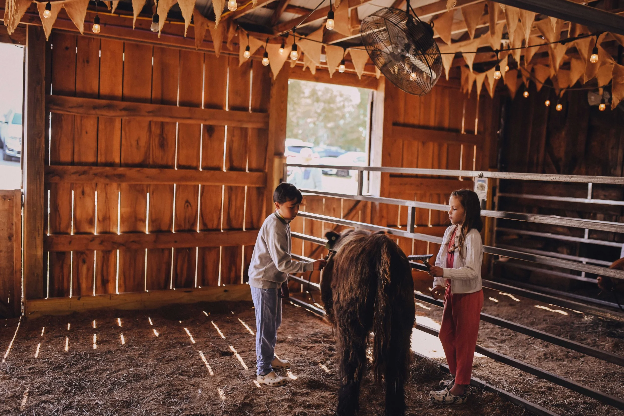 Large Group Visits at Black Rock Farm