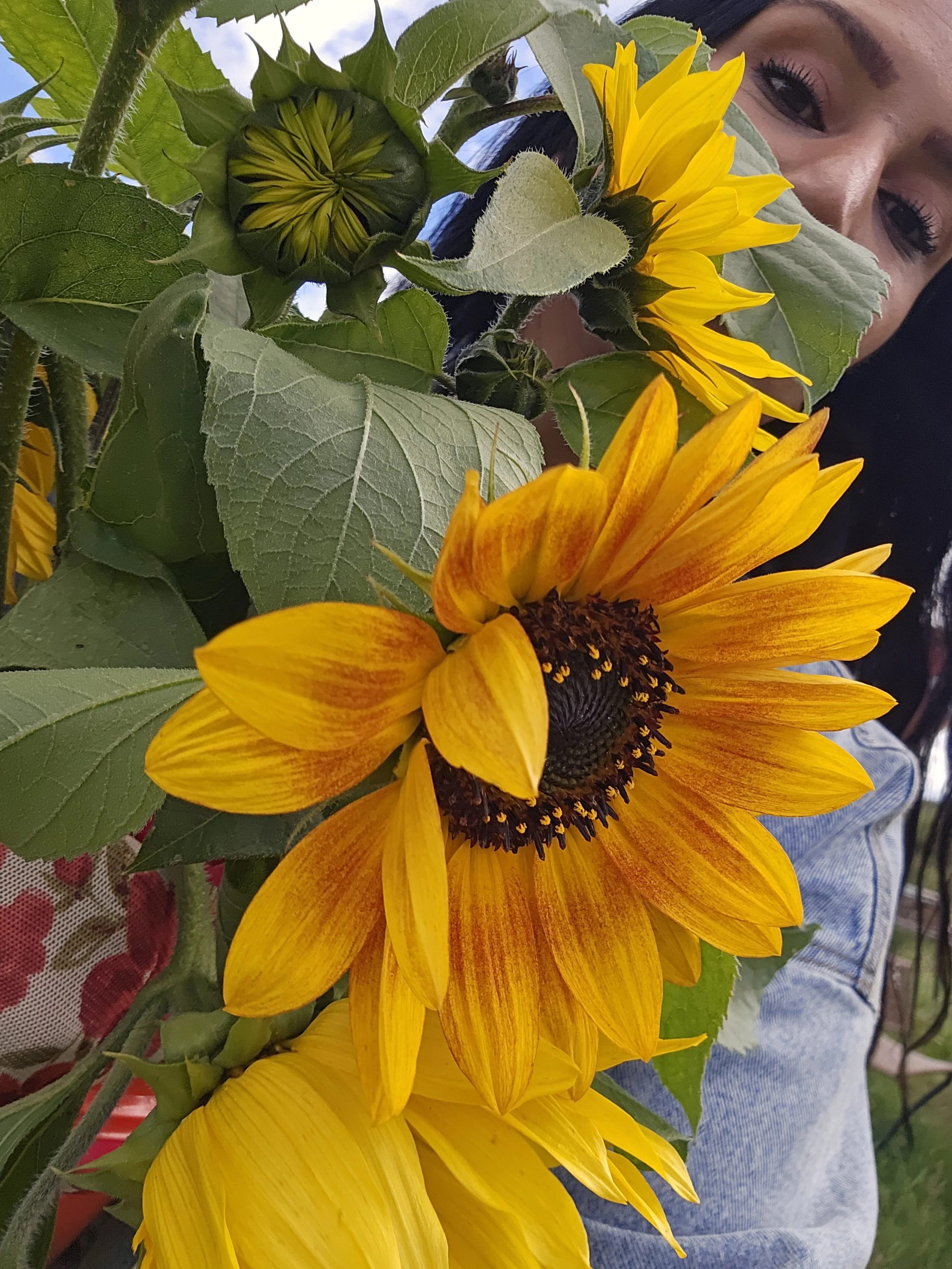 Close-up of a woman smiling behind vibrant yellow sunflowers and green leaves in an outdoor setting.