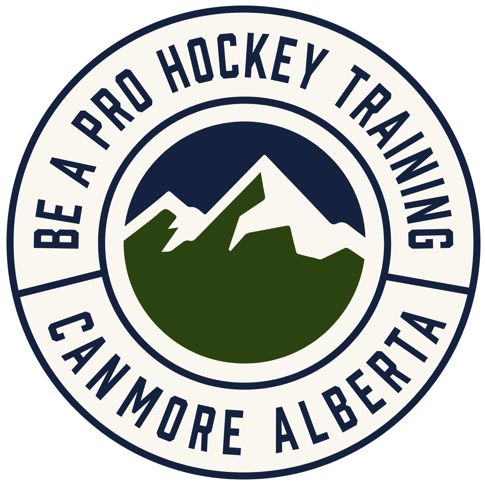 Be a Pro Hockey Training logo