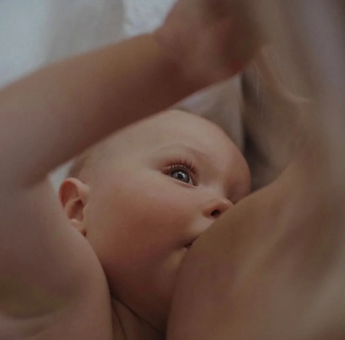 Det &auml;r inte fel p&aring; din kropp! Det &auml;r ditt nervsystem som vill skydda dig❤️🙏

Magiskt foto av @melissajeanbabies 

#amning