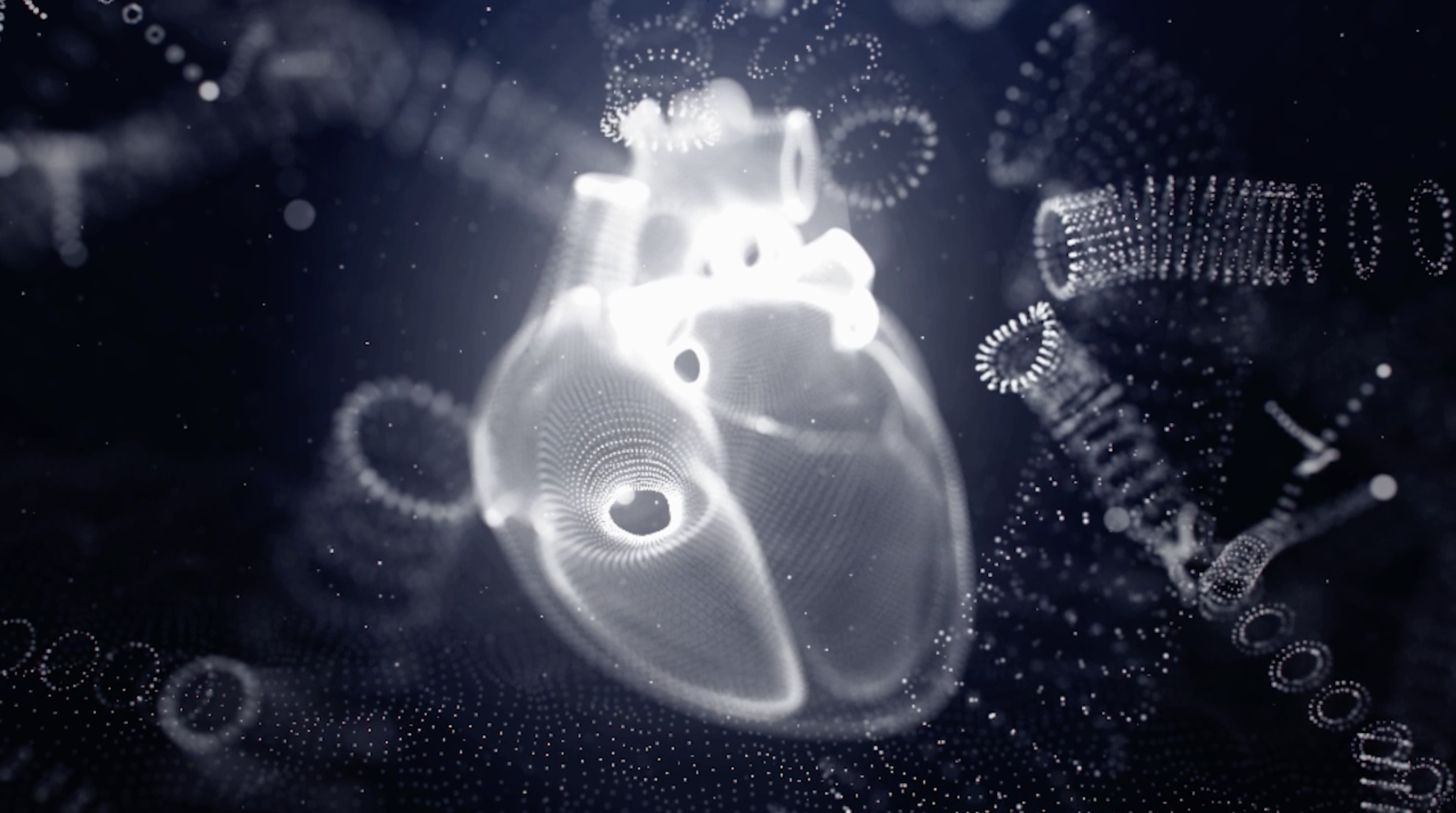 3D Heart Animation Static.png