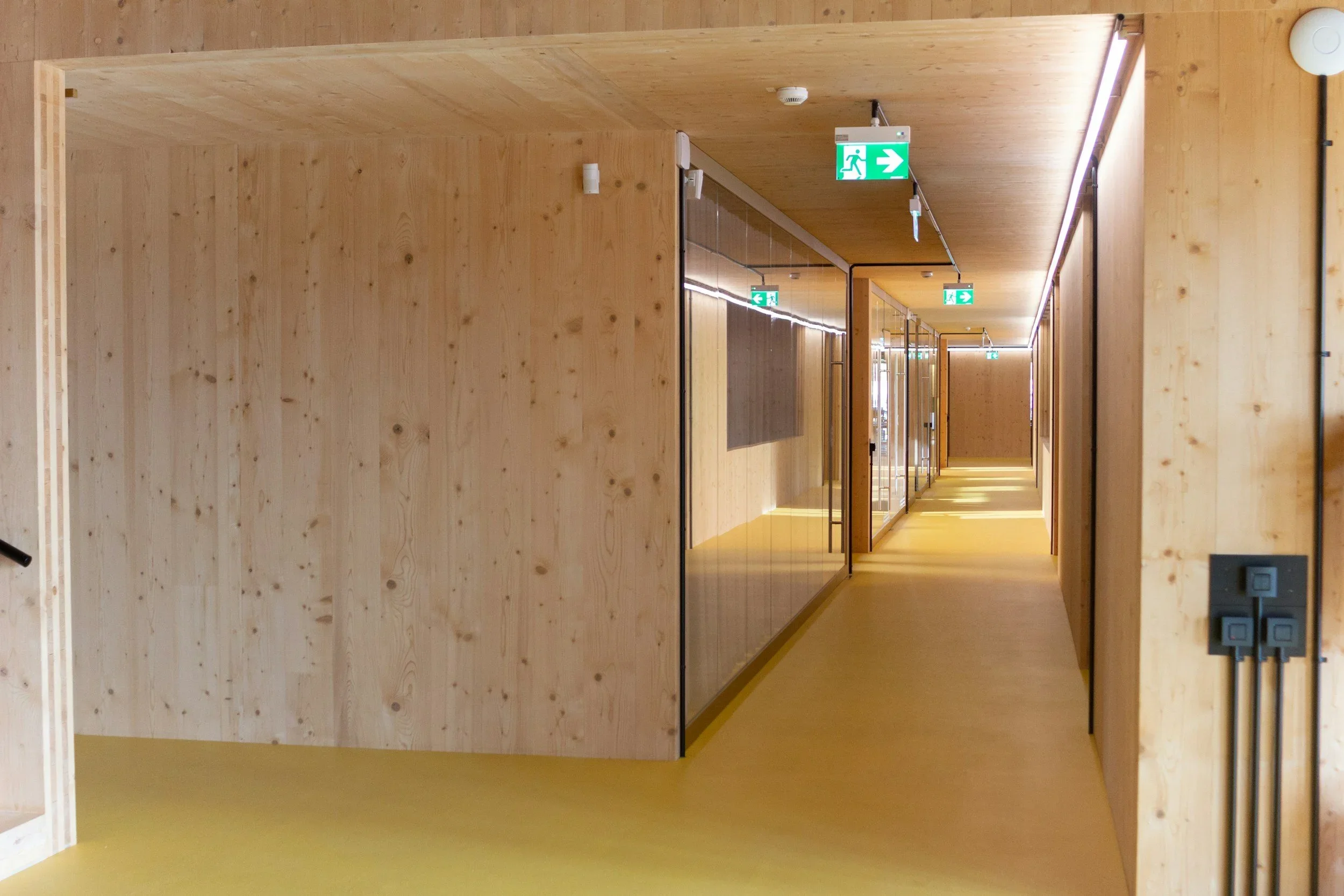 Specifying Mass Timber made in UK