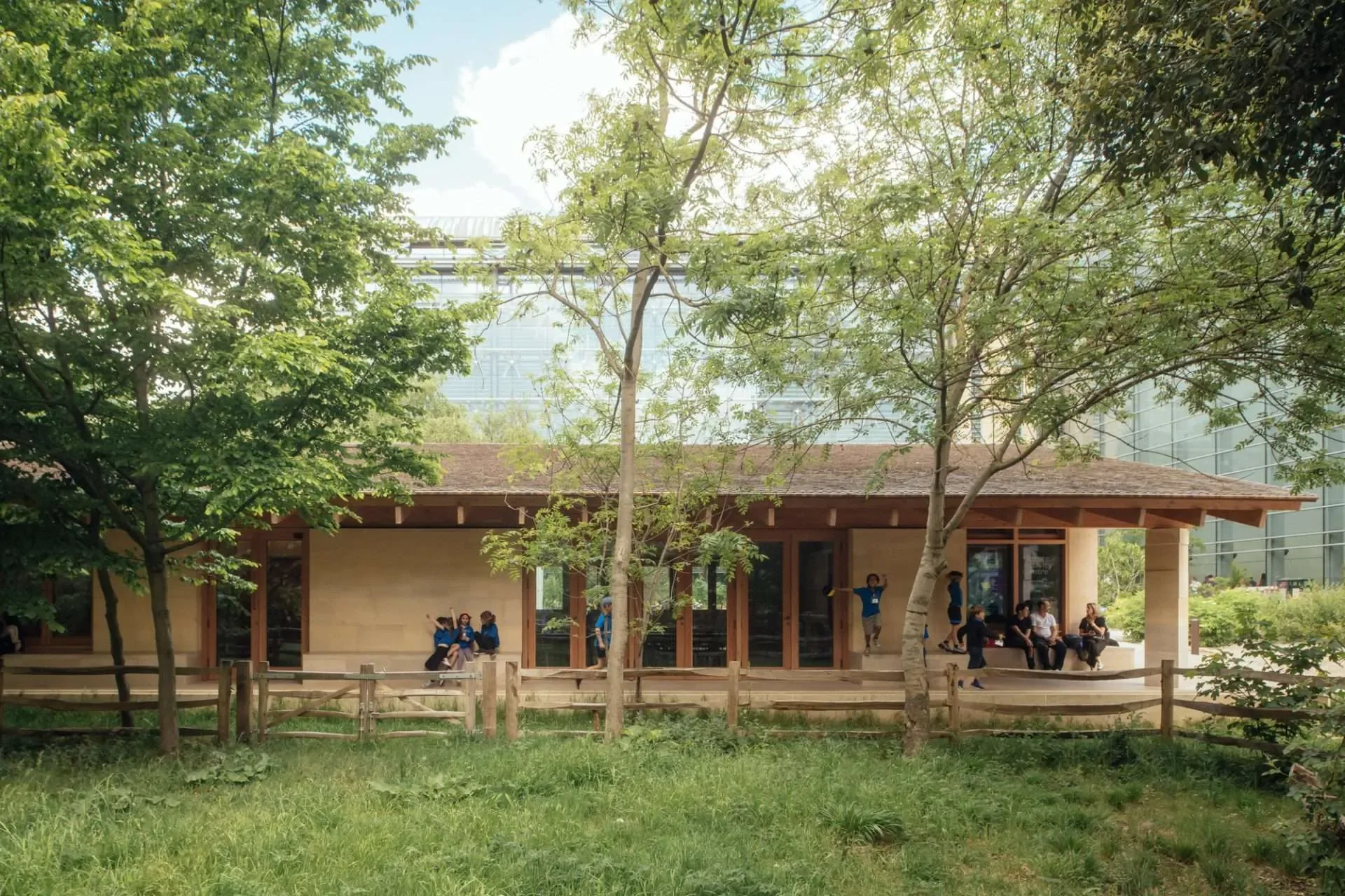 Timber in Construction 101: Constructing Carbon