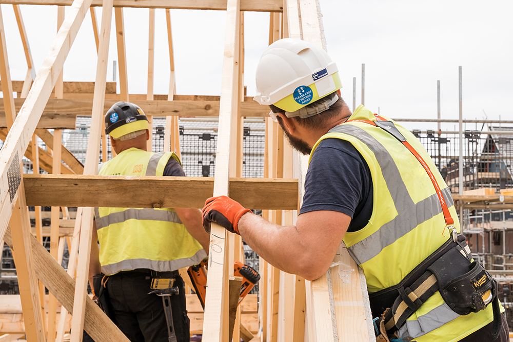 Unlocking Homegrown Timber: Making C16 Work in Practice