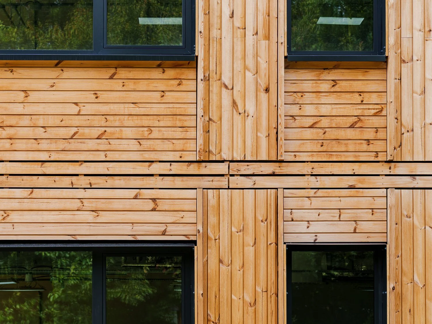 Timber in Construction: The skills programme built for what's coming next