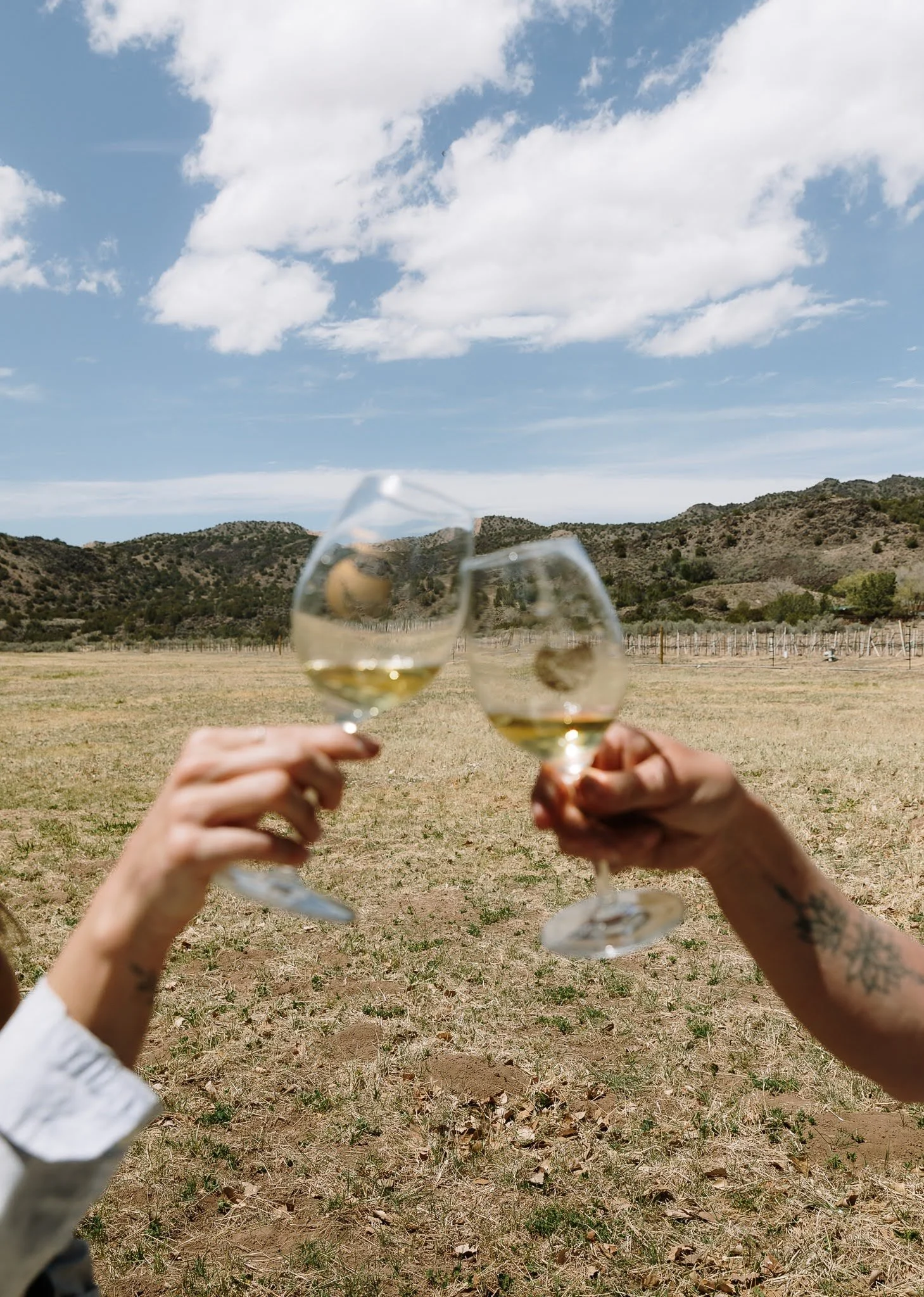 Taos-Weekend-wine.jpg