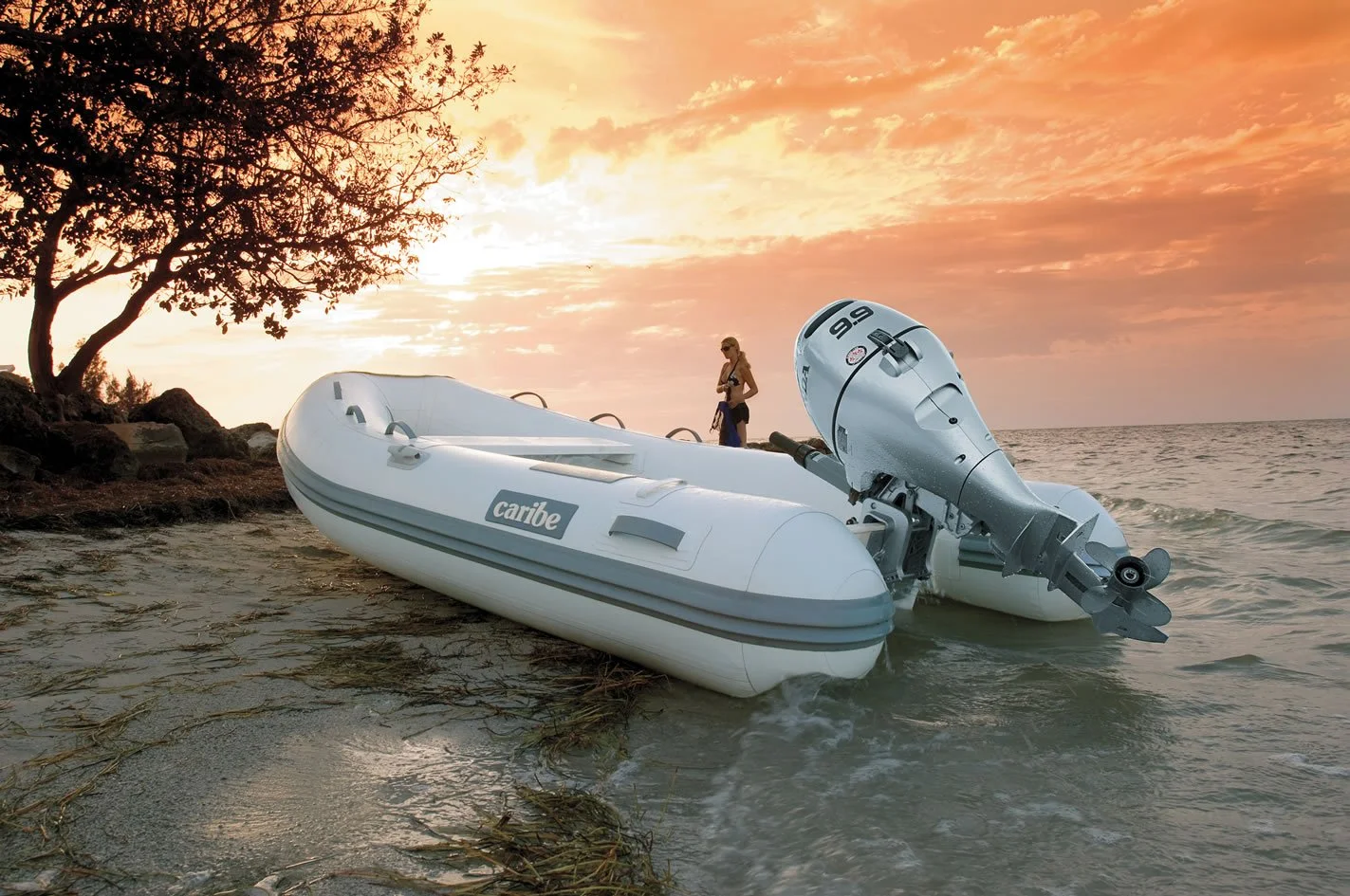 Creekside Marine_Honda Portable_bf9.9-caribe.jpg (Copy)