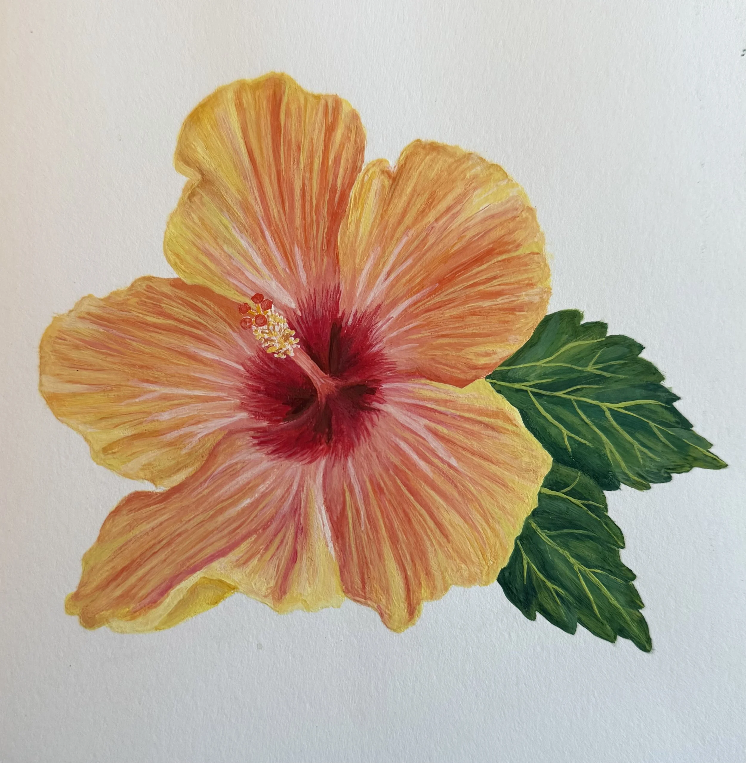 FullSizeRender 8.jpeg