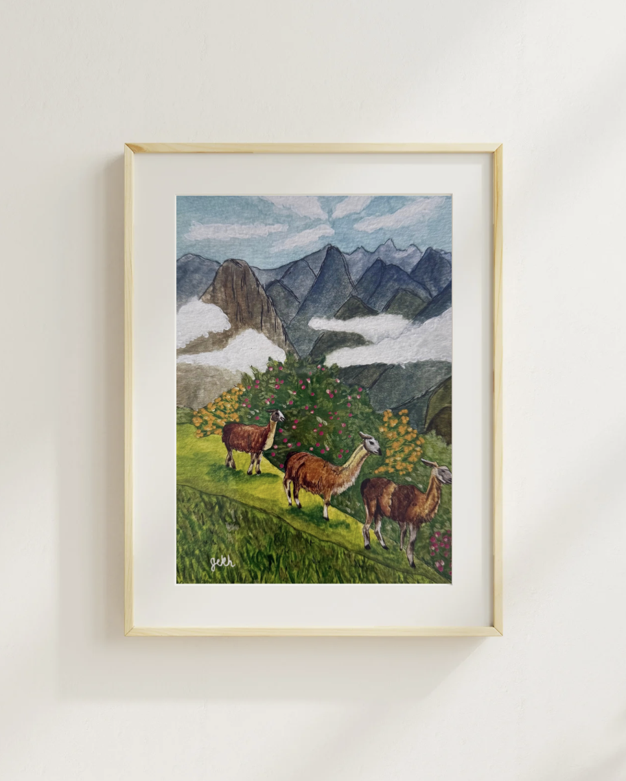 Mountain Llamas Print