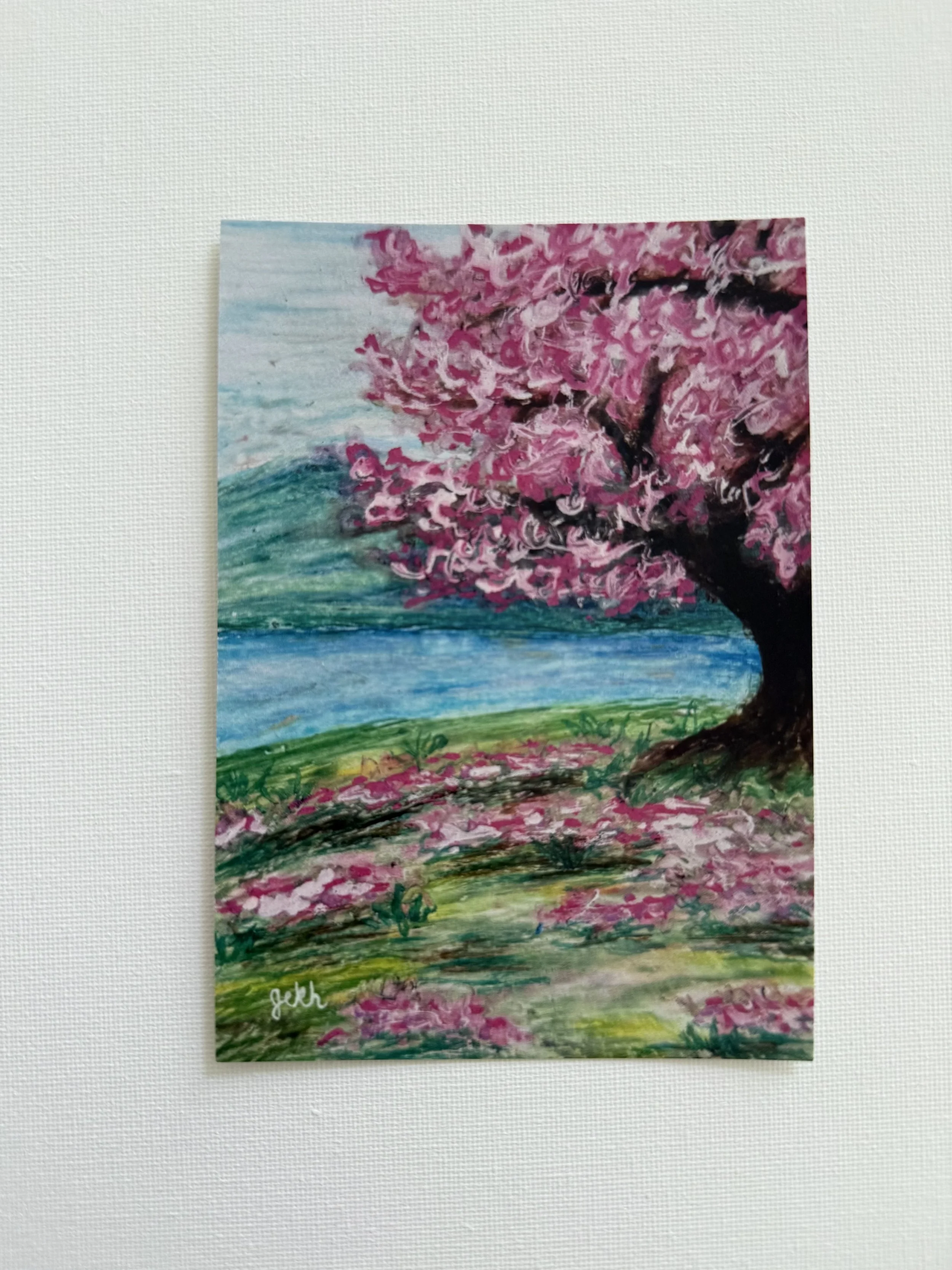 Cherry Blossom Postcard