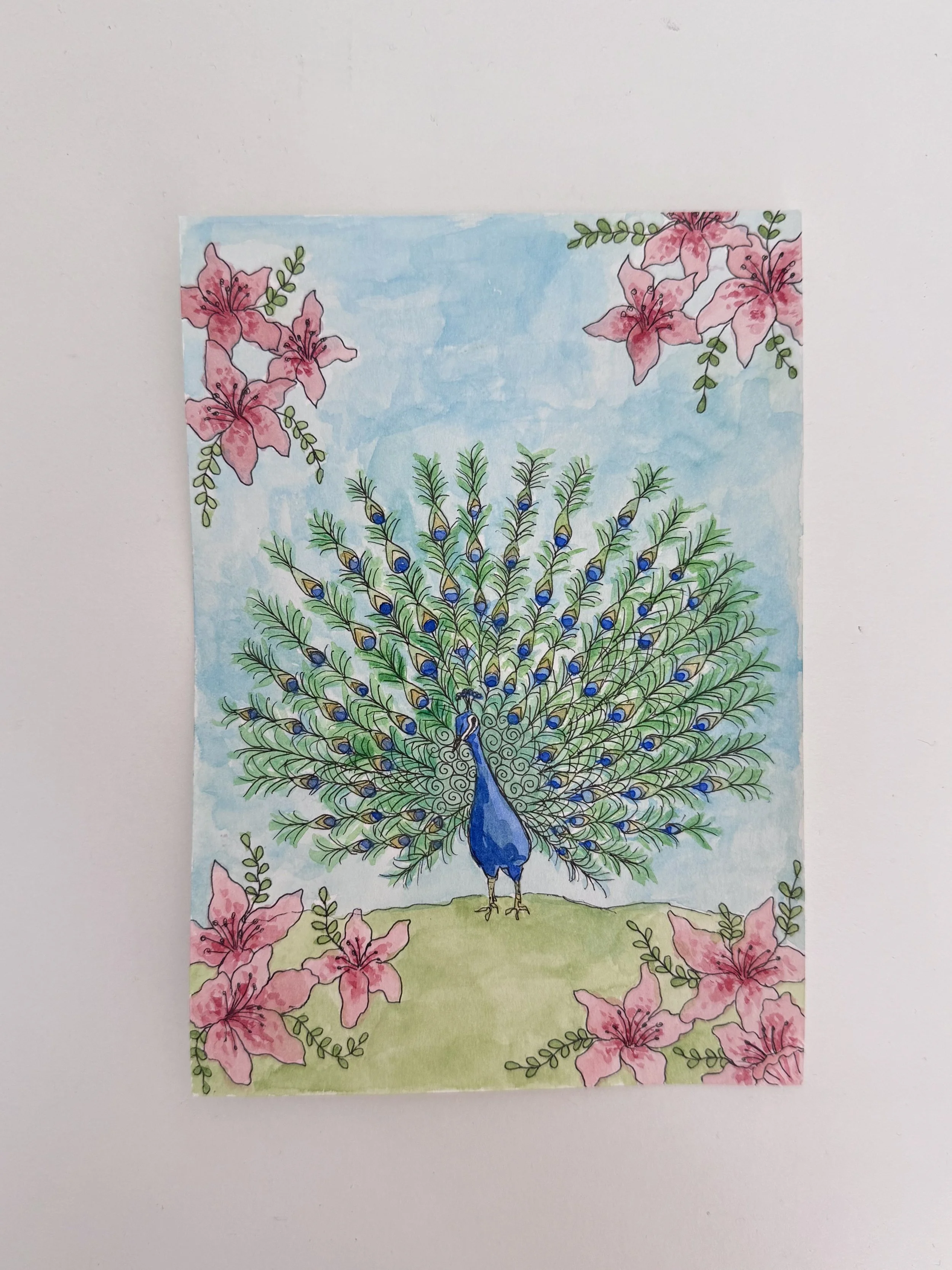 Original Peacock