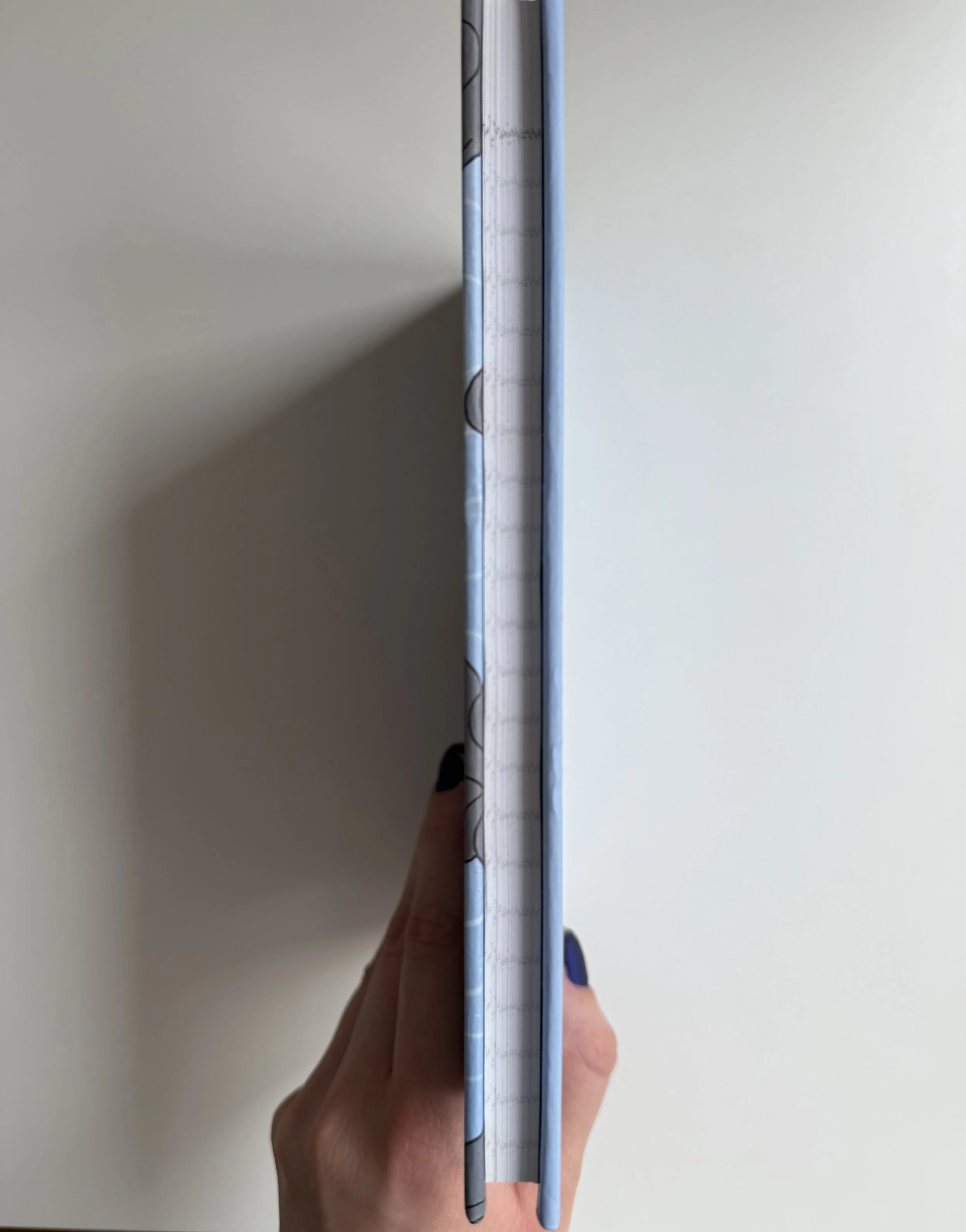 FullSizeRender 3.jpeg