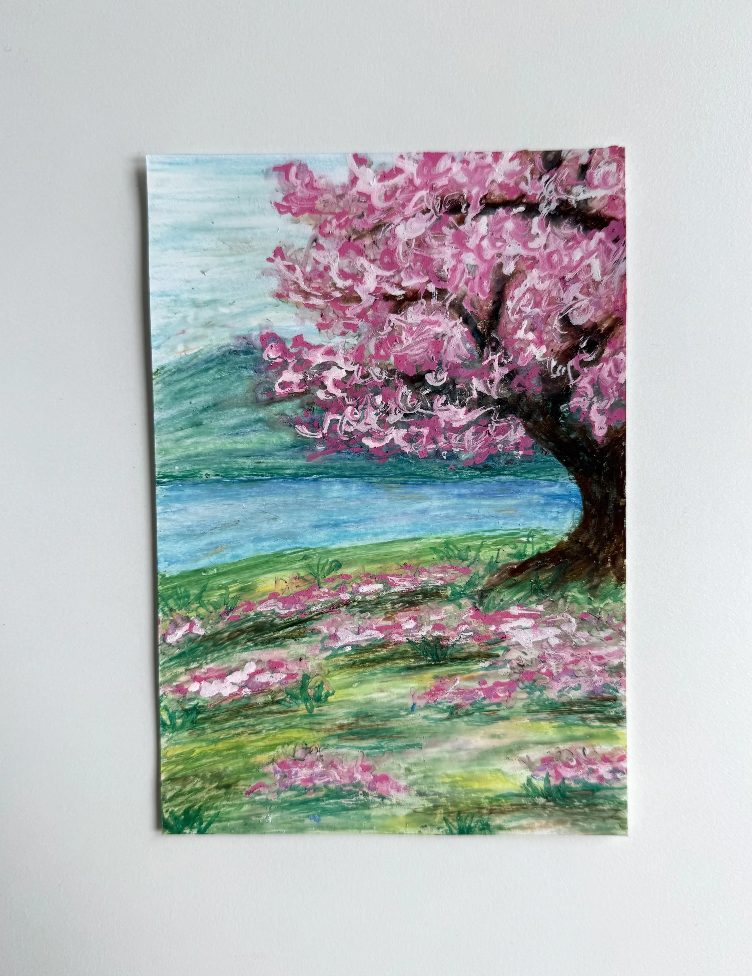 Cherry Blossom Tree