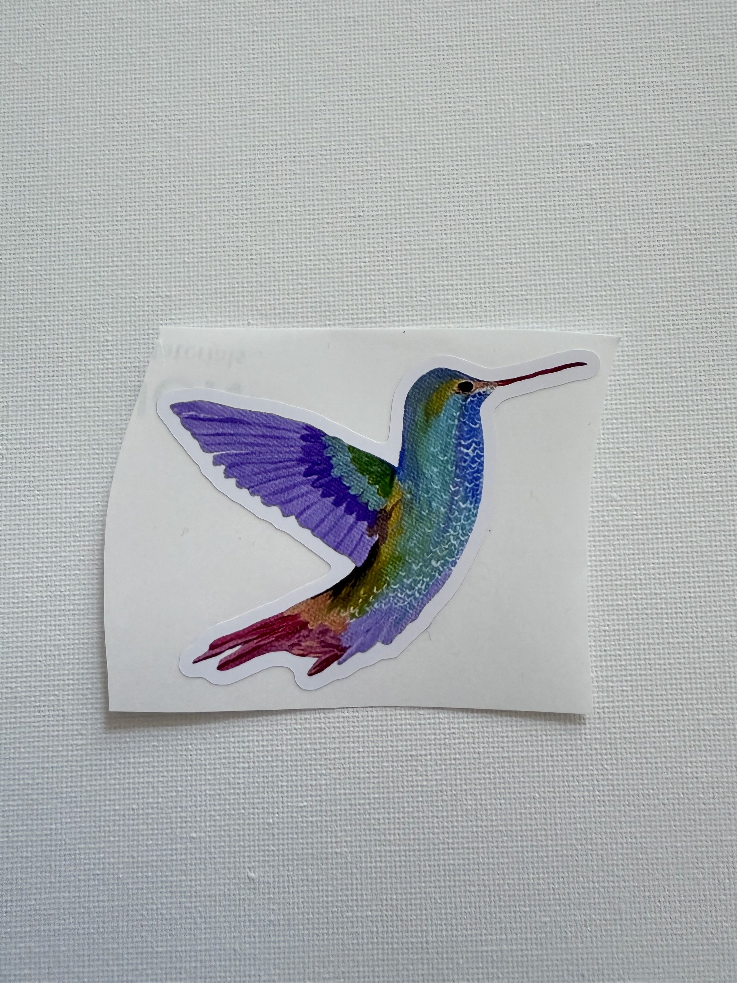 Rainbow Hummingbird Sticker