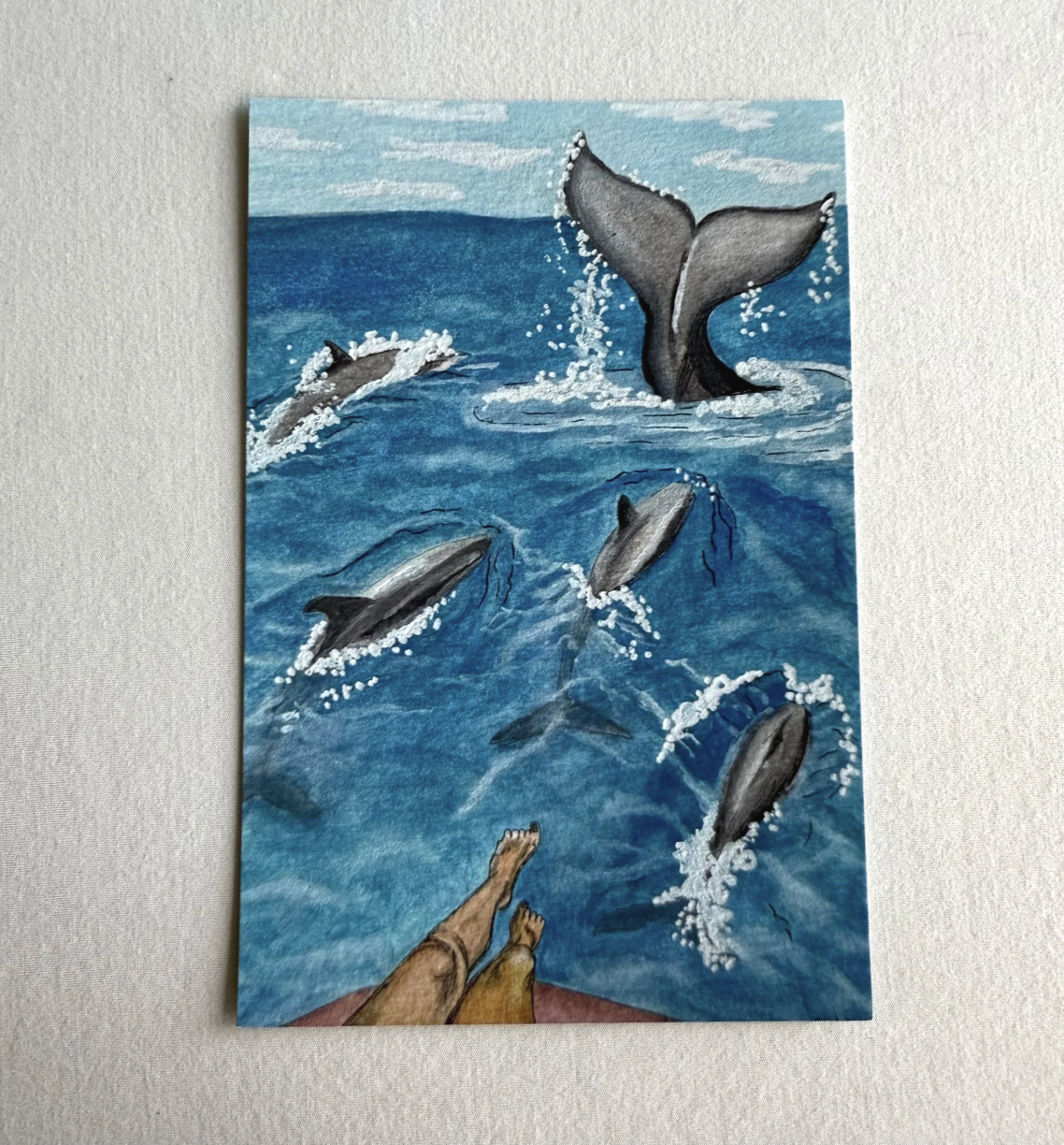 Dolphin Dream Postcard