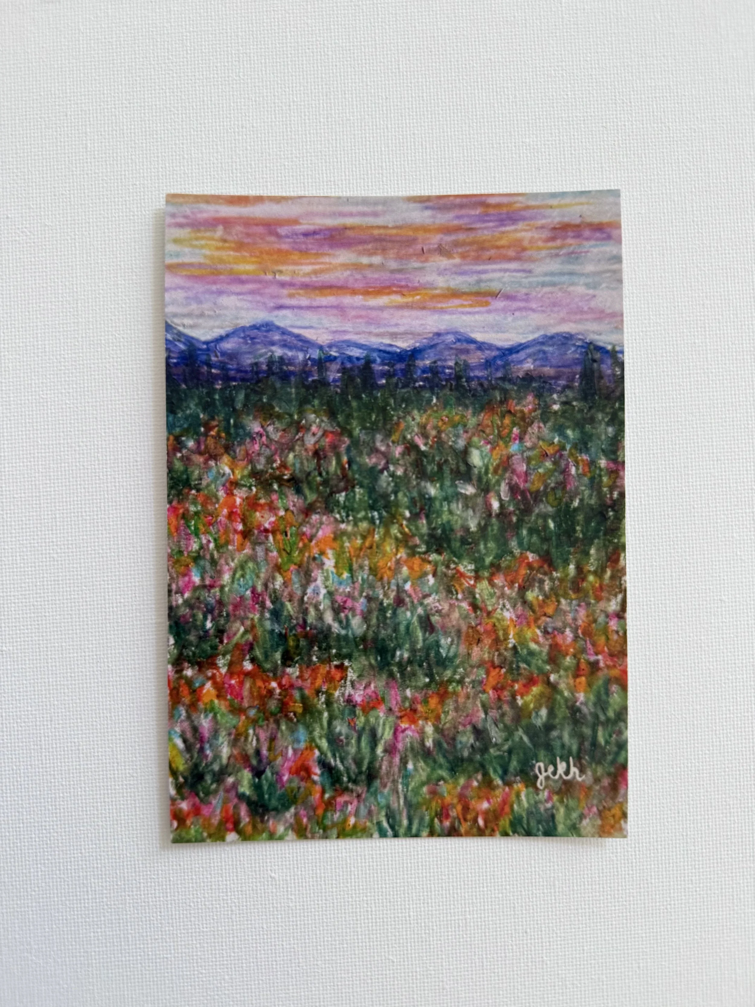 Flower Field Postcard