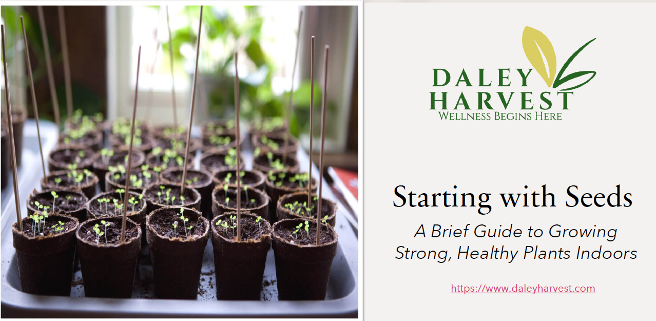 Screenshot 2026-01-11 003220.png