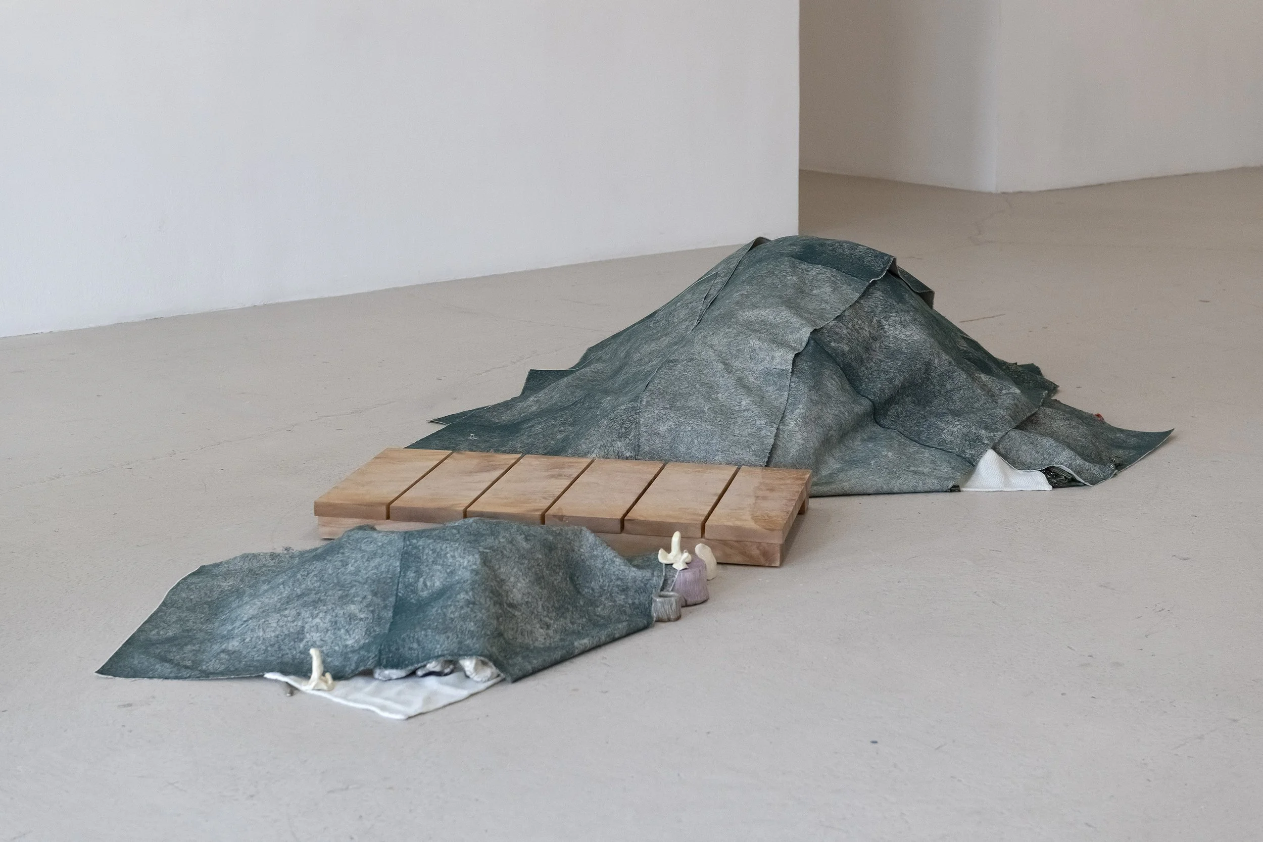 L'équilibre des vrilles, Commissariat: Julia Caron Guillemette, Galerie B312
