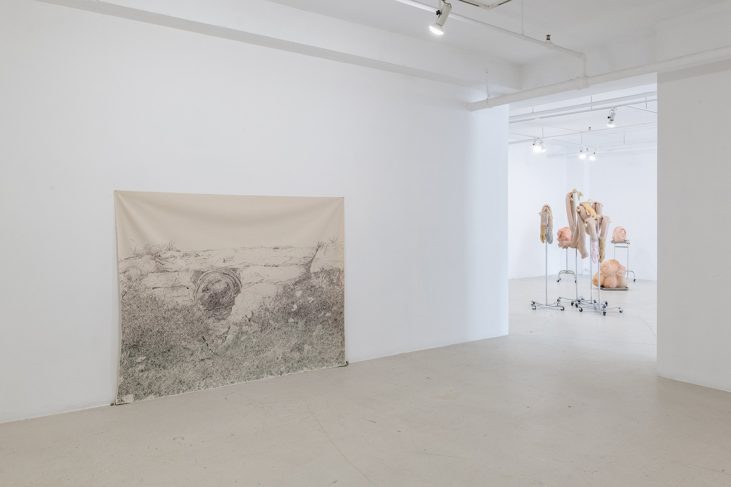 L'équilibre des vrilles, Commissariat: Julia Caron Guillemette, Galerie B312