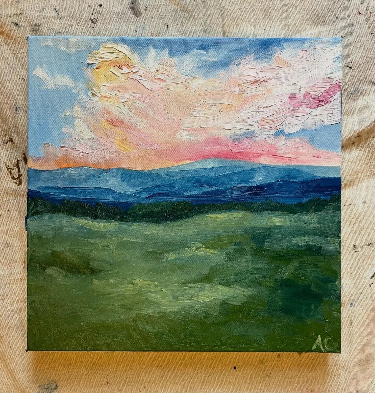 Always love the open fields near the Oconaluftee Visitor Center in the Smokies. Drove through today and had to do a small painting when I got home! 

12&rdquo;x12&rdquo; oil on canvas

#oilpainting #appalachianmountains #blueridgemountains #westernno