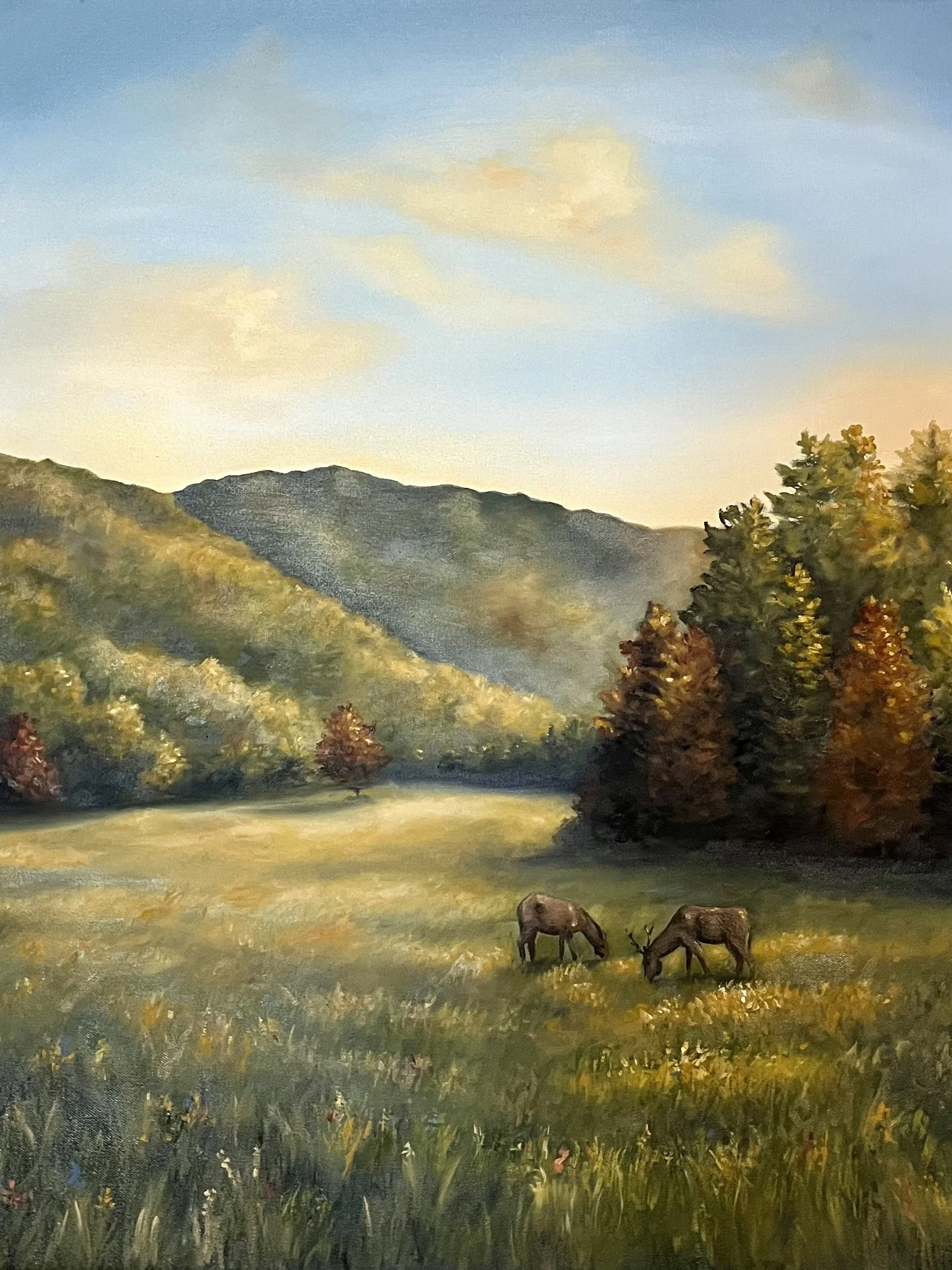 Elk in Oconaluftee