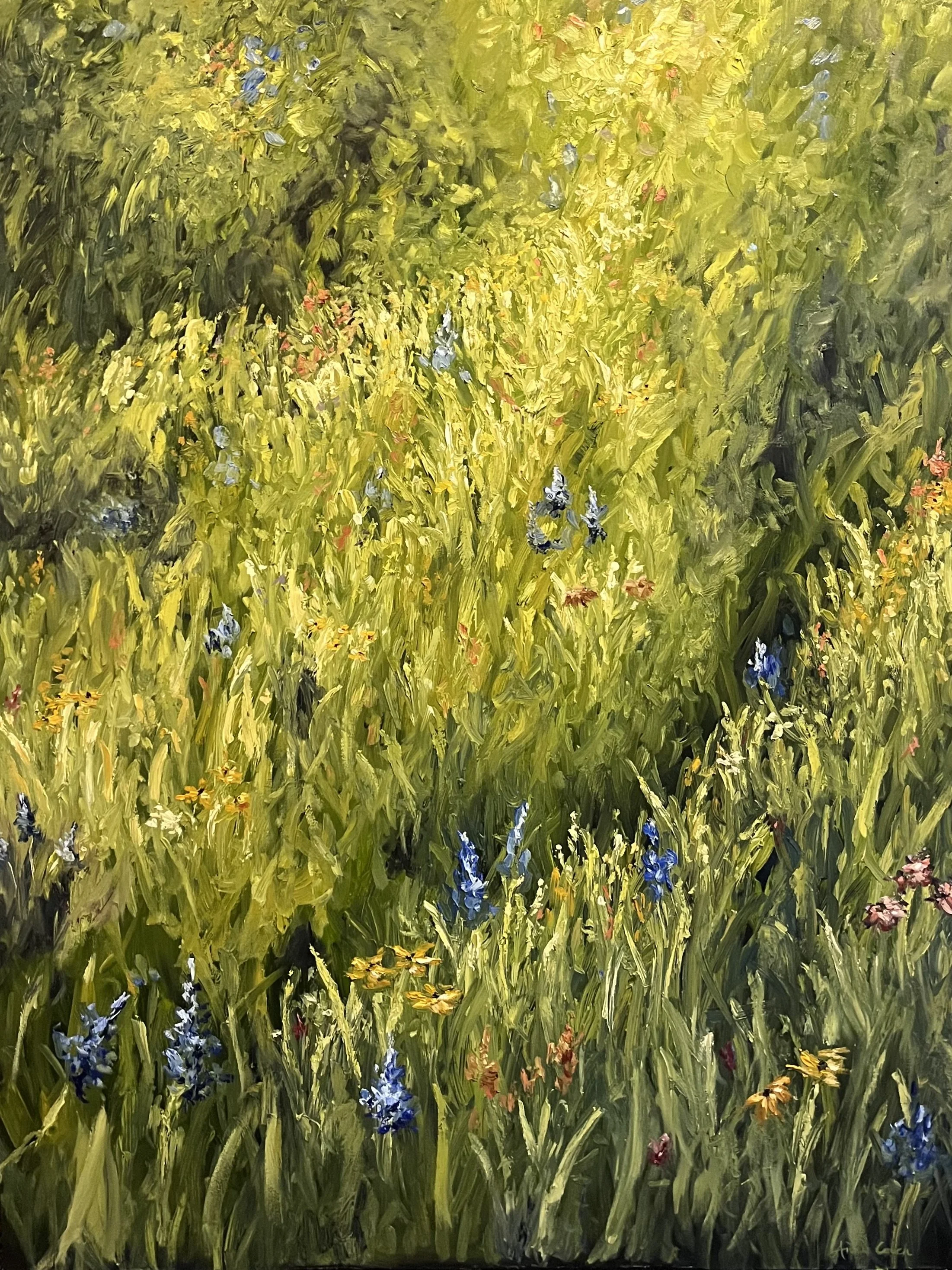 Wildflower Field