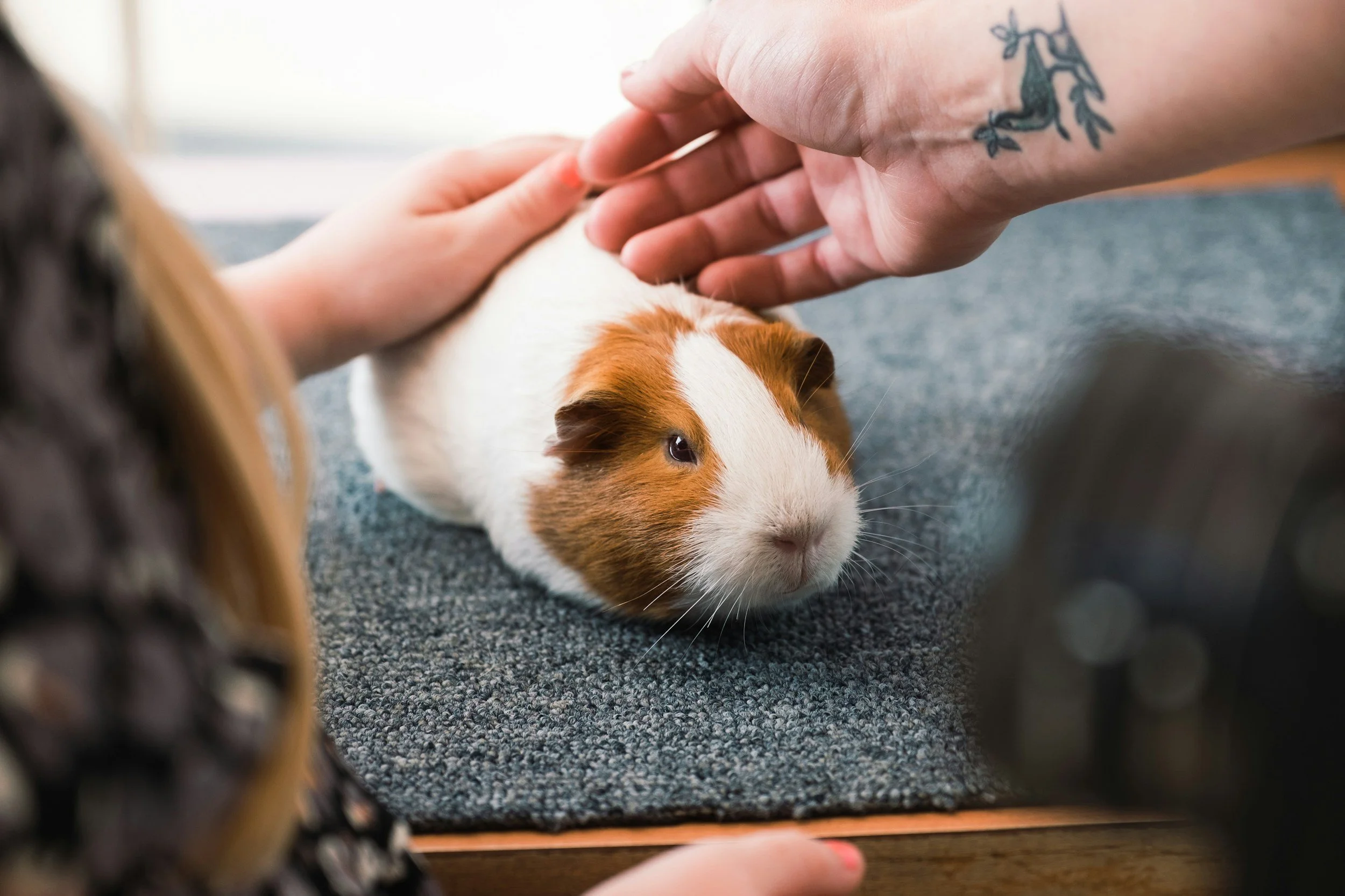 Four Paws and a Purpose: How Animal-Assisted Therapy Is Helping Autistic Children Thrive