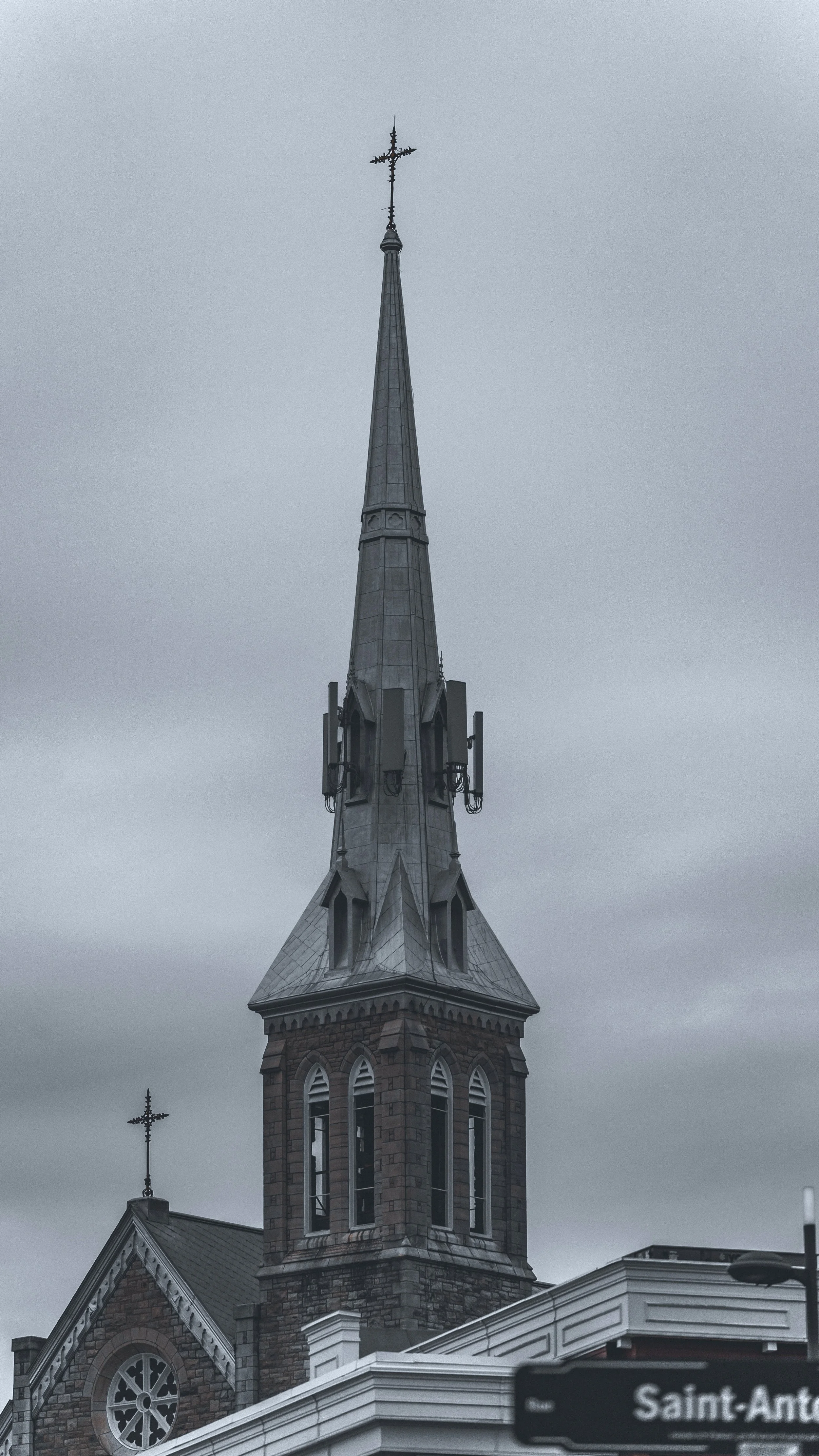 DSC02598.jpg